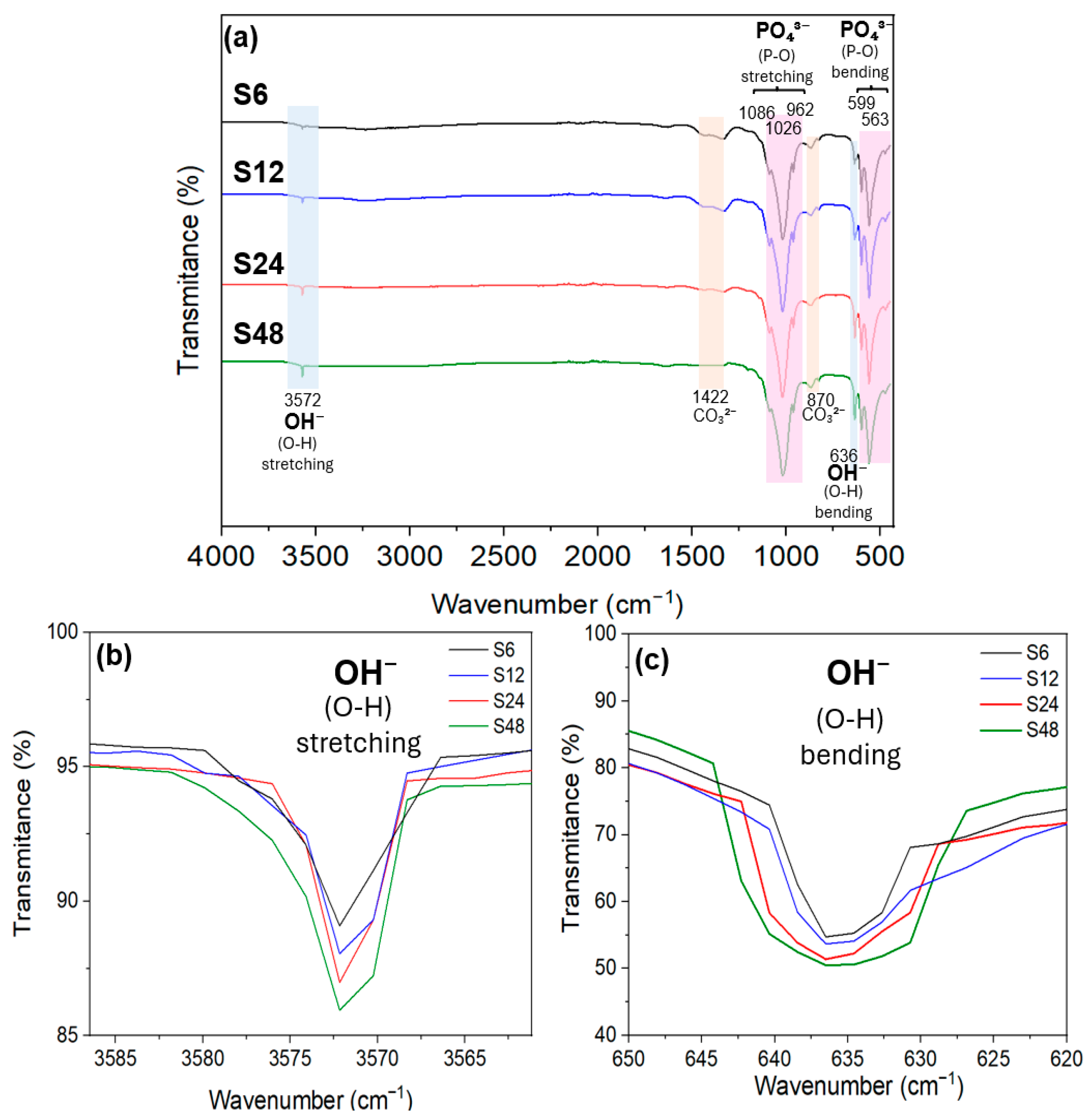 Biomolecules 16 00385 g003 Biomolecules 16 00385 g003
