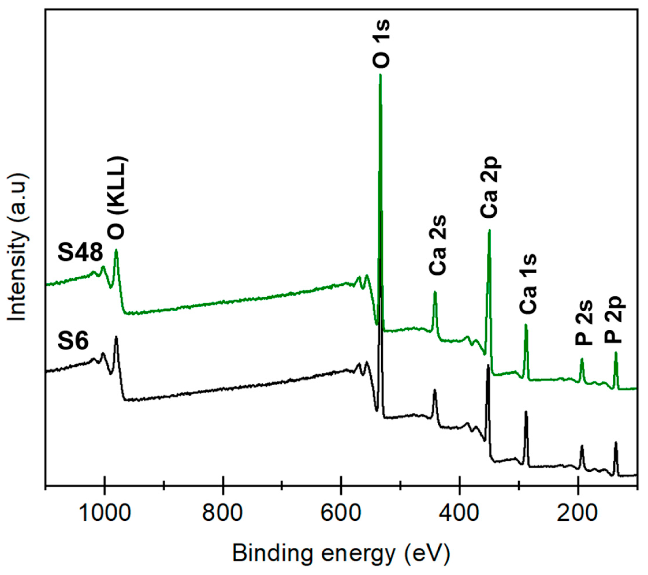 Biomolecules 16 00385 g007 Biomolecules 16 00385 g007