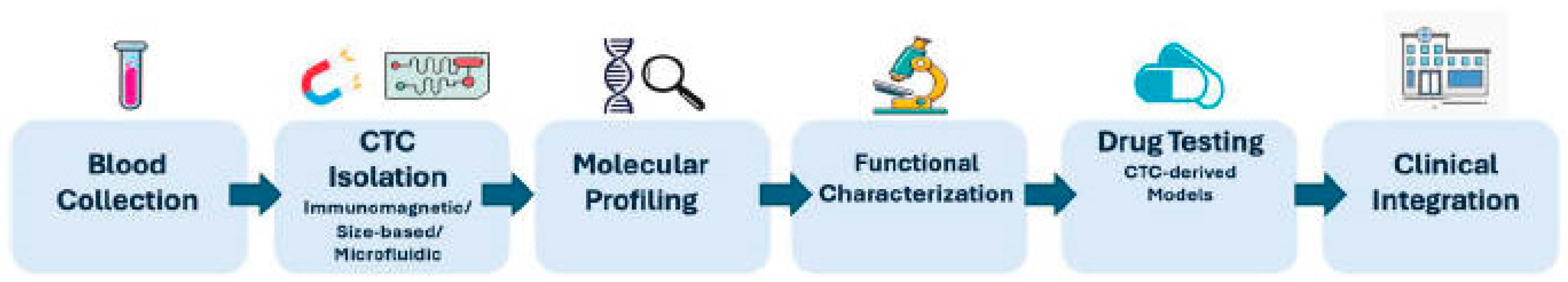 Biomolecules 16 00394 g002