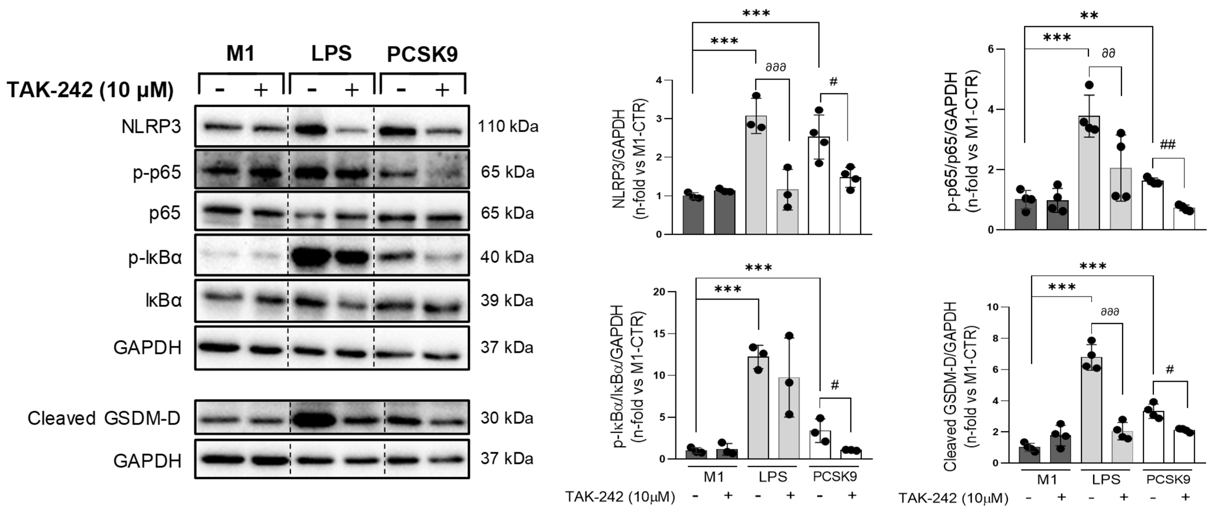 Biomolecules 16 00397 g007 Biomolecules 16 00397 g007