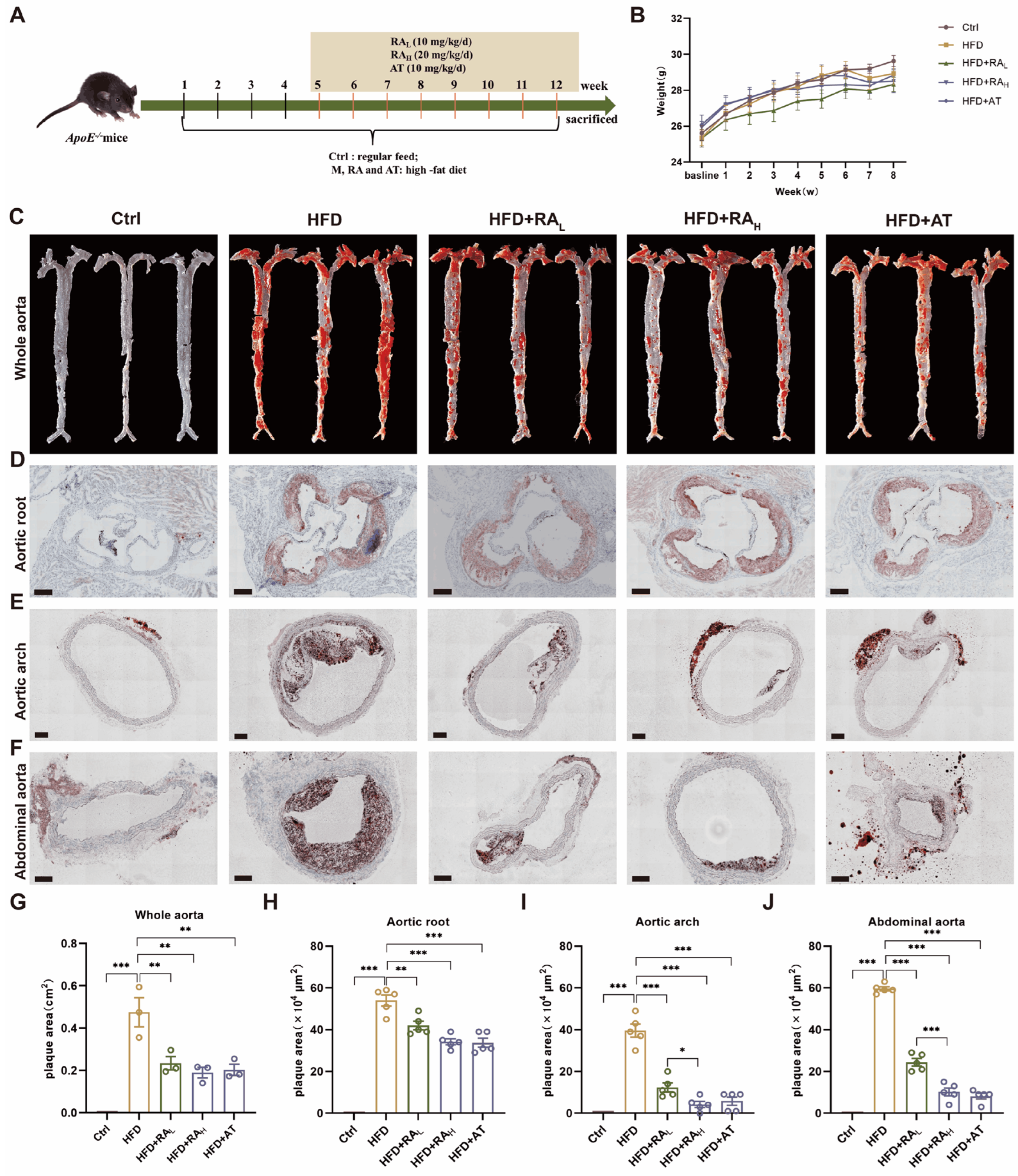 Biomolecules 16 00403 g001