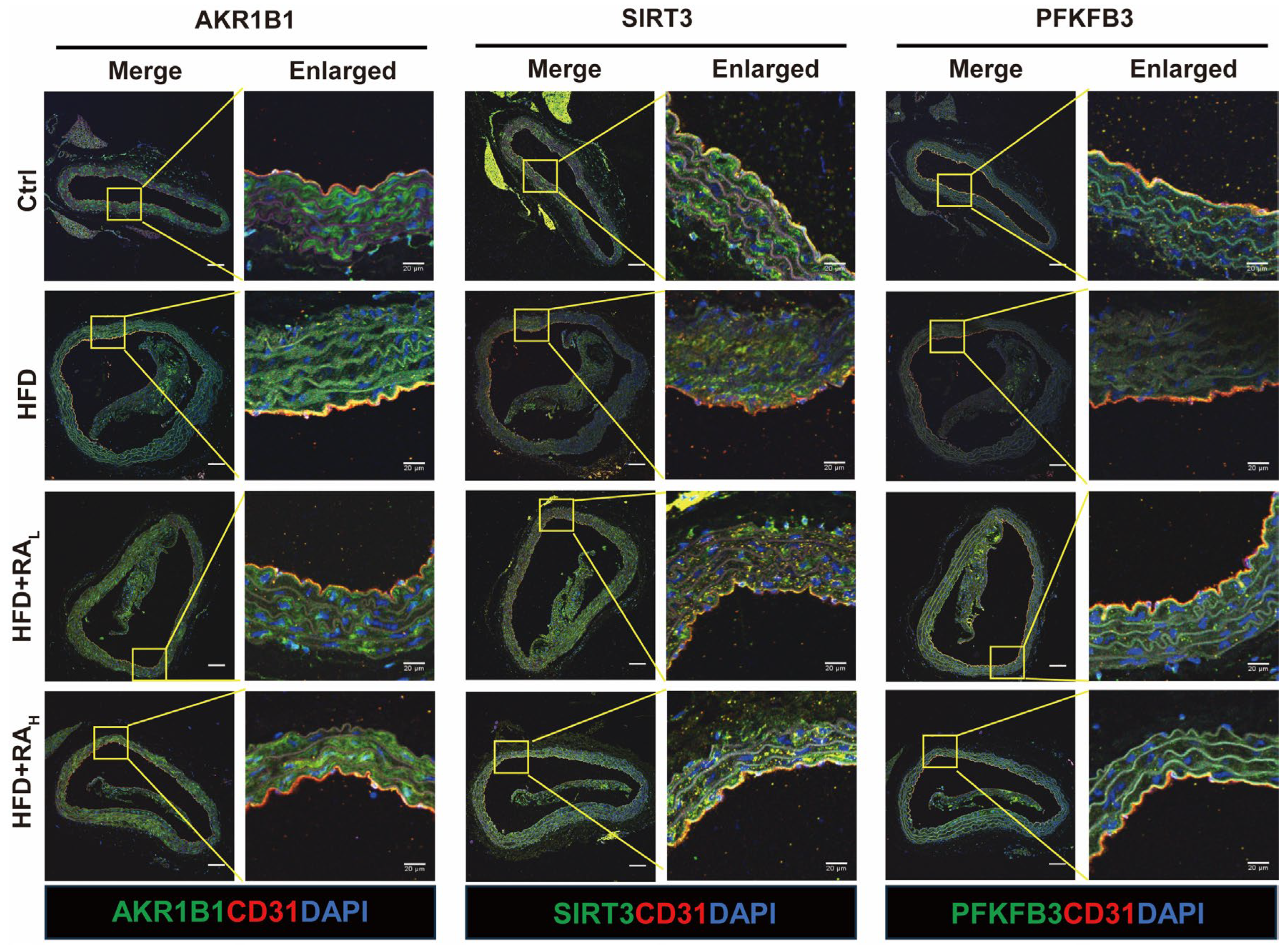 Biomolecules 16 00403 g004