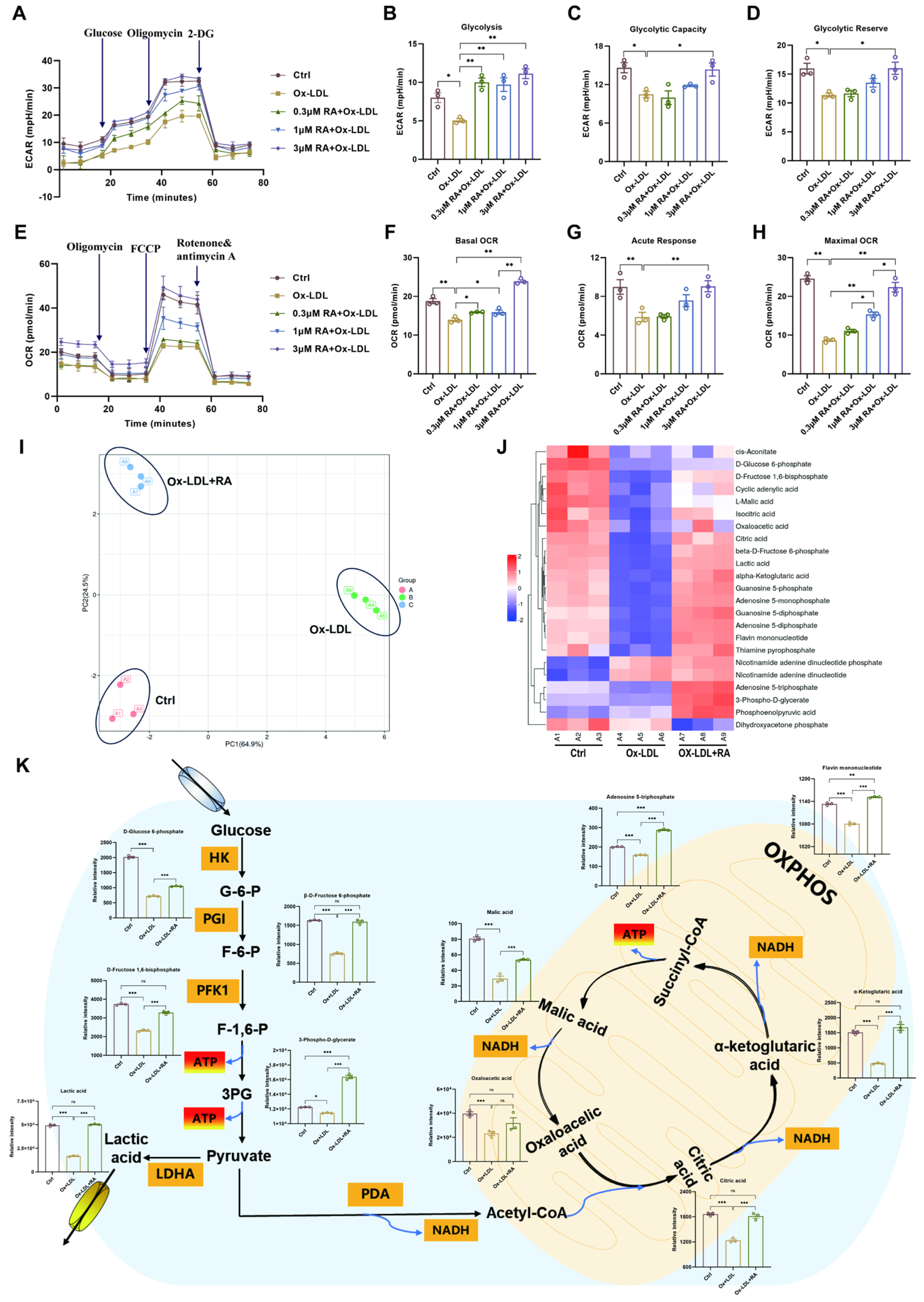 Biomolecules 16 00403 g006