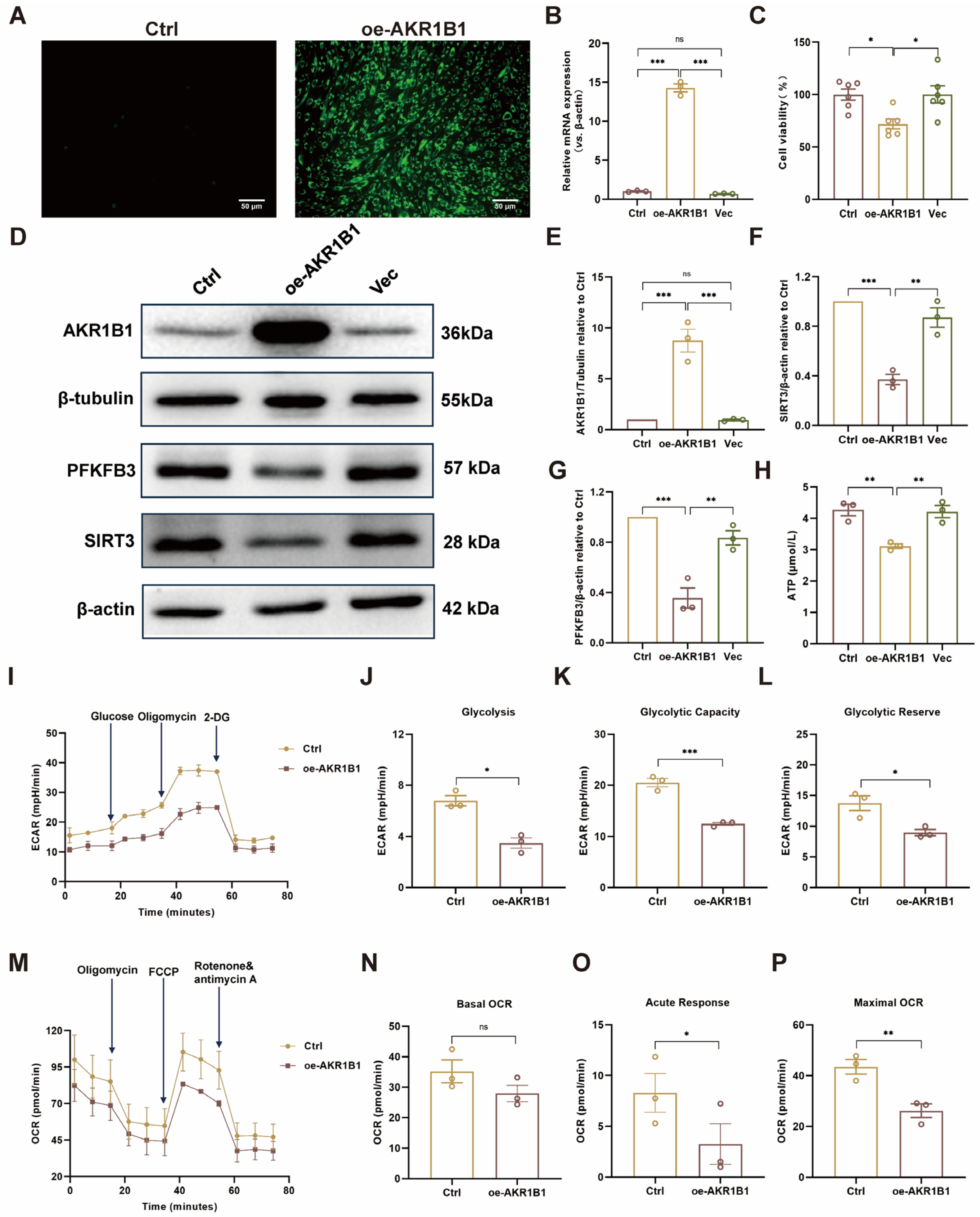 Biomolecules 16 00403 g007