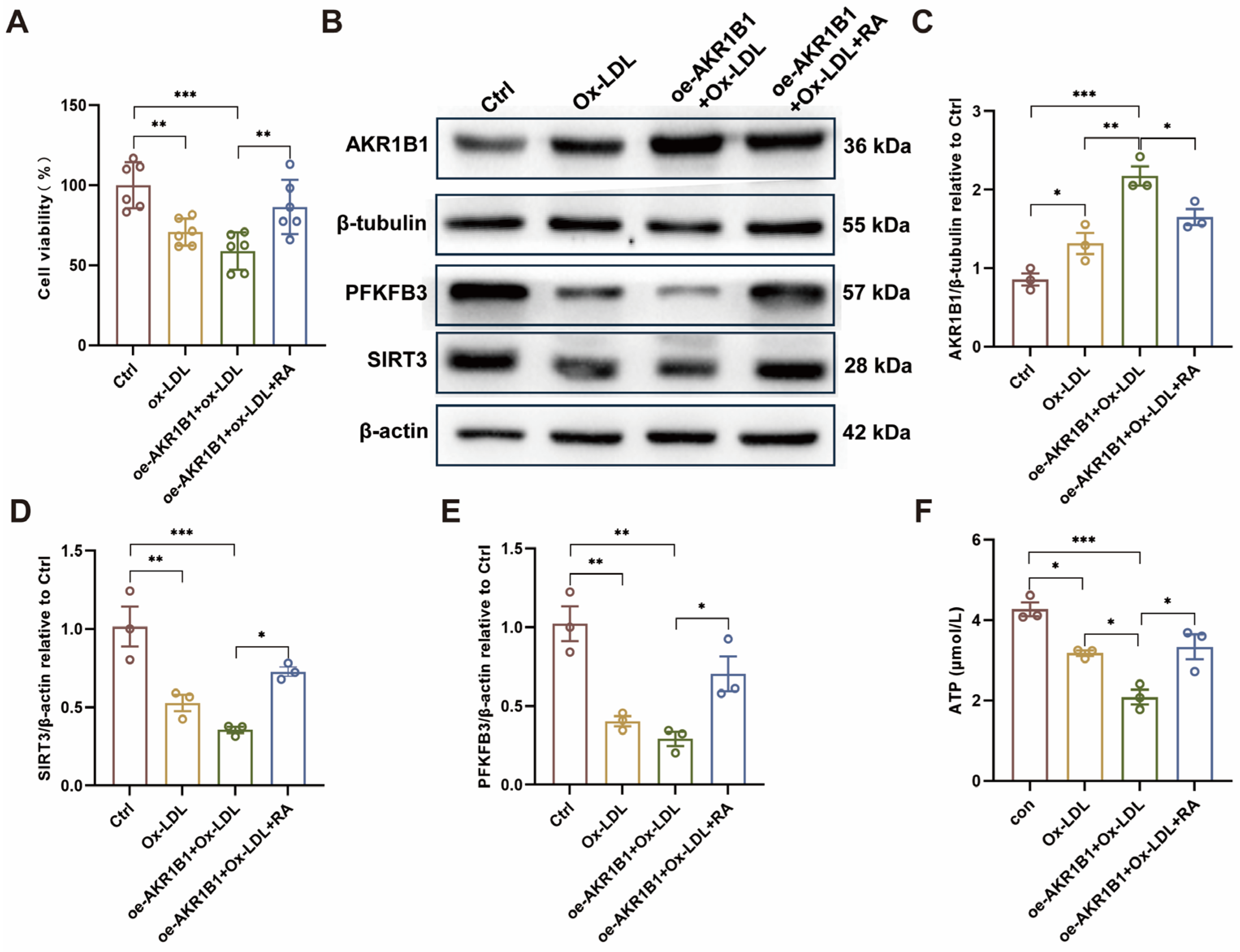 Biomolecules 16 00403 g008