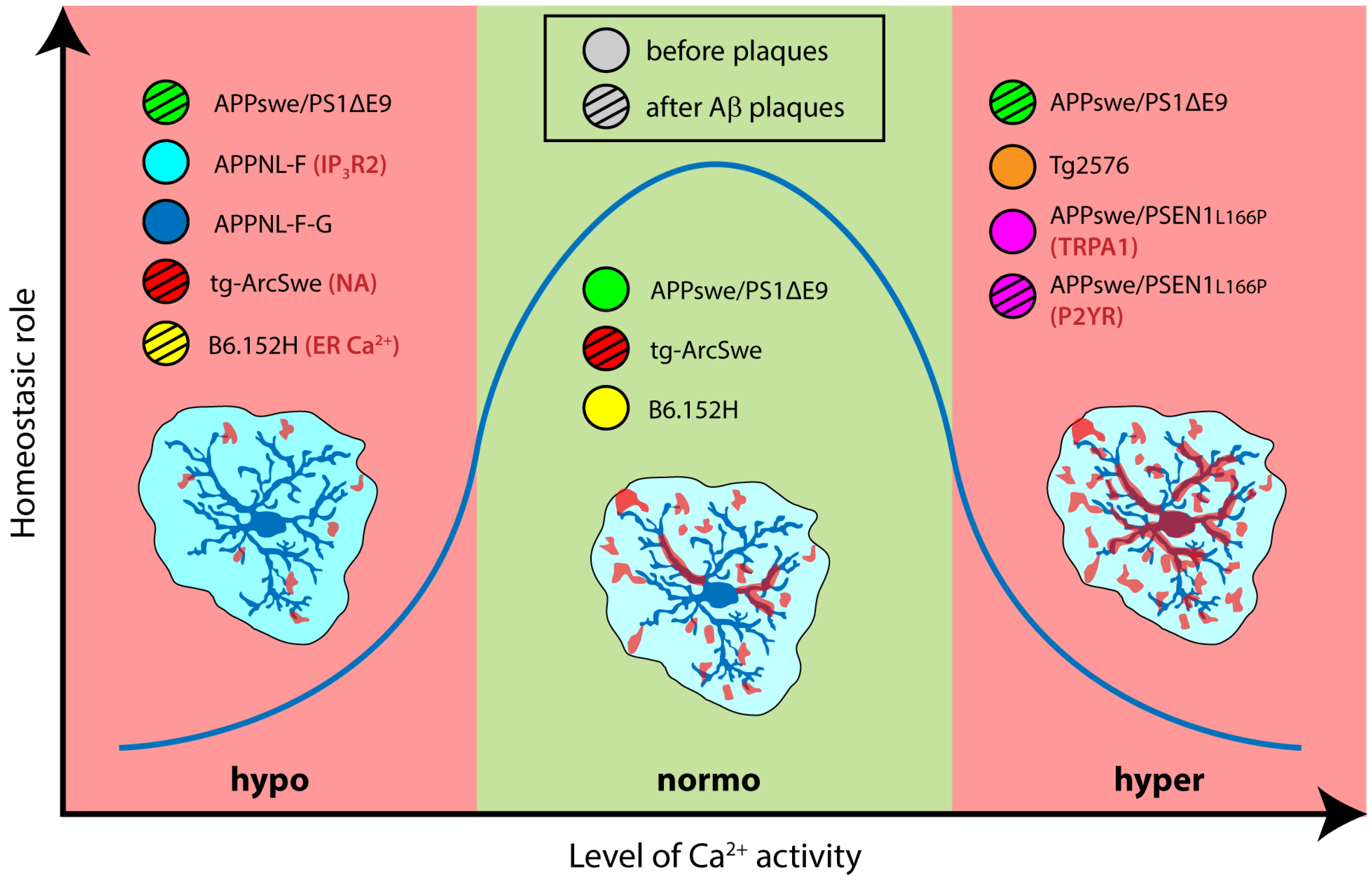 Biomolecules 16 00404 g002 Biomolecules 16 00404 g002