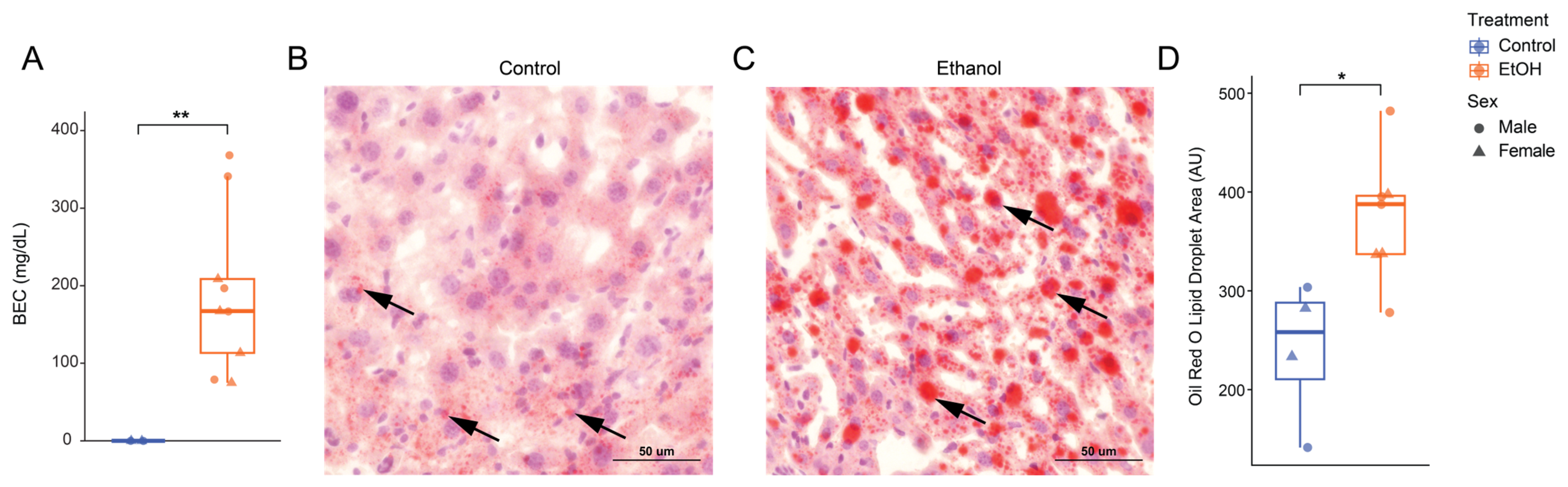 Biomolecules 16 00427 g002