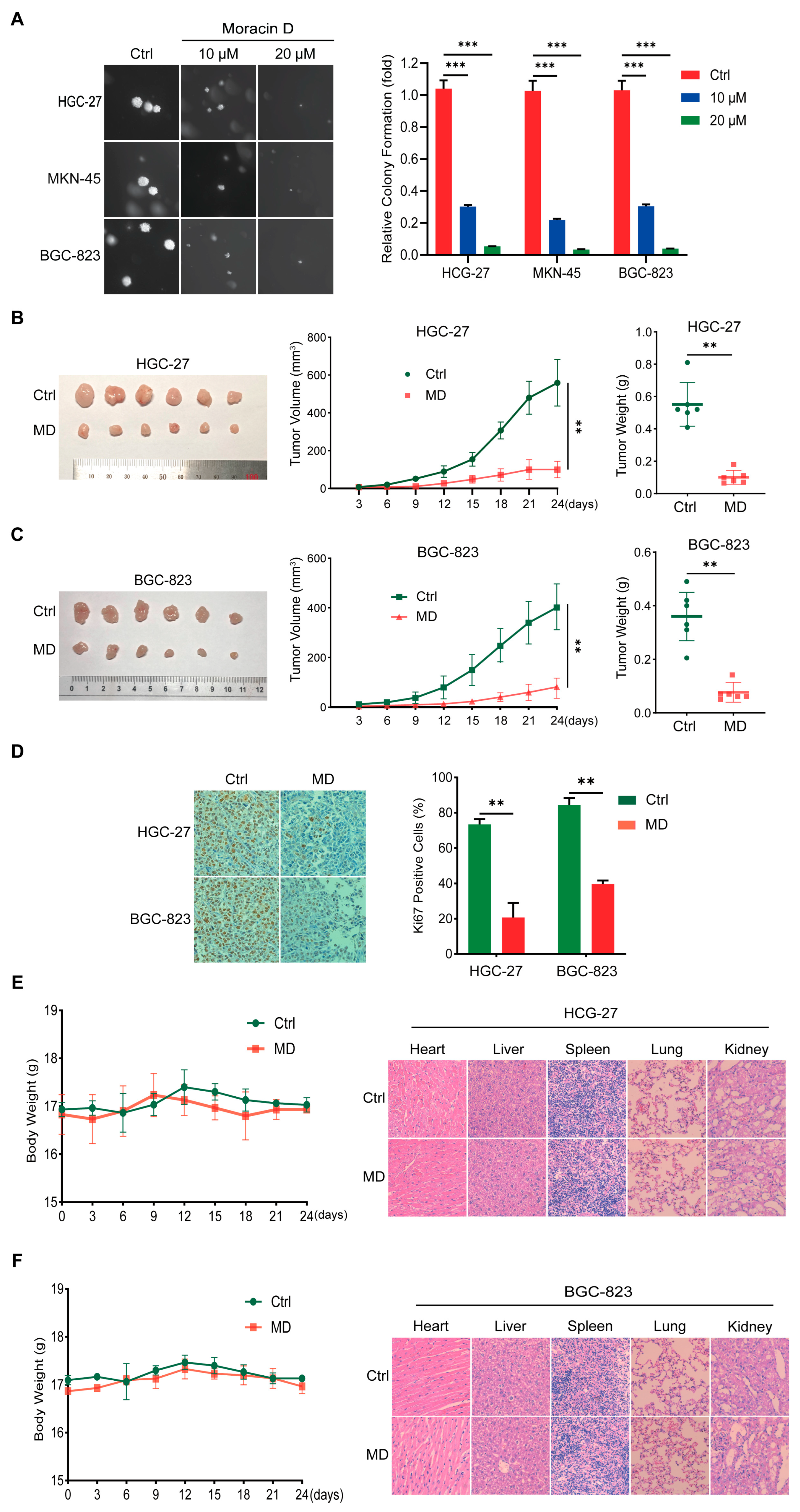 Biomolecules 16 00428 g002 Biomolecules 16 00428 g002