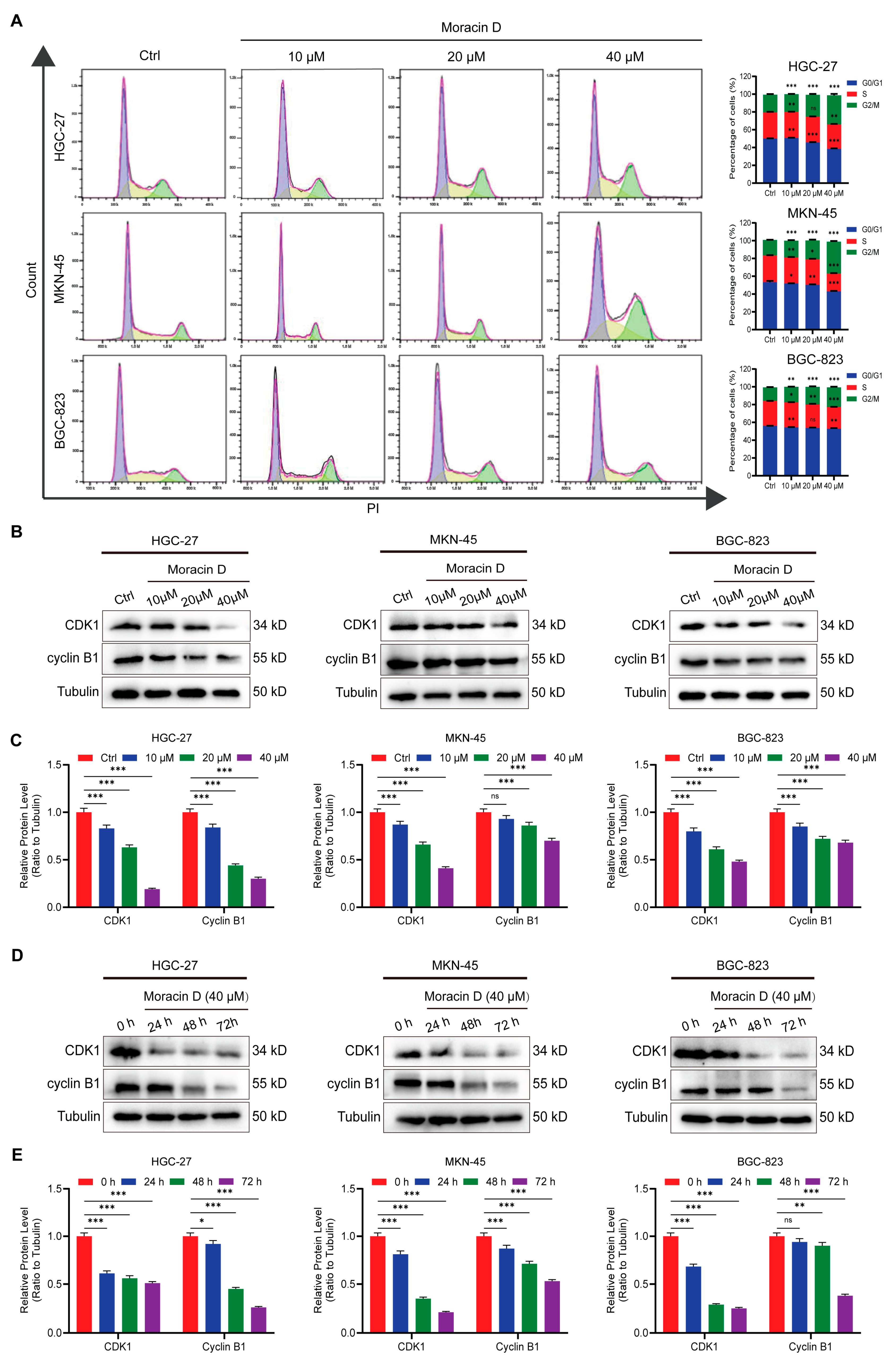 Biomolecules 16 00428 g003 Biomolecules 16 00428 g003