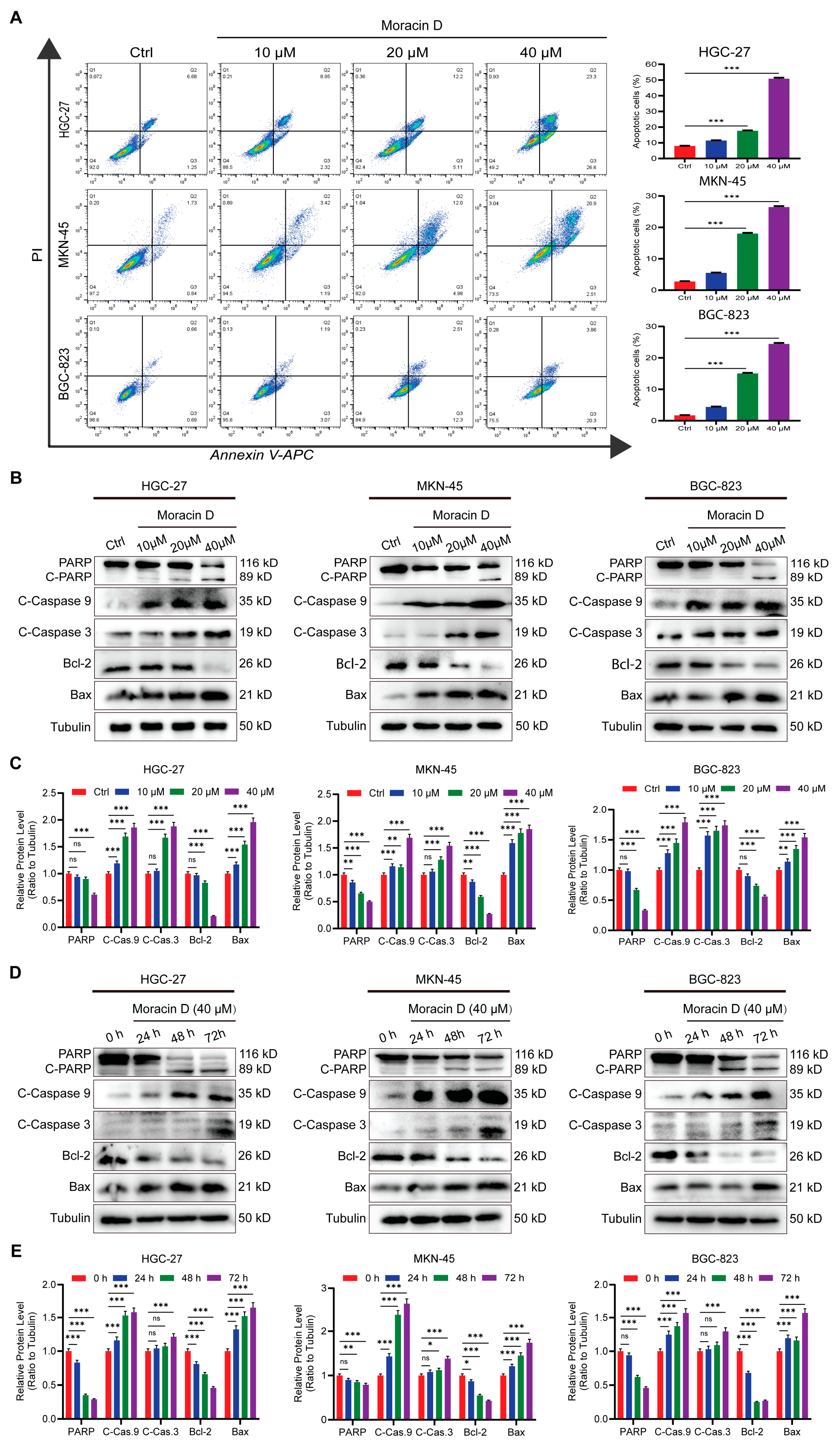Biomolecules 16 00428 g004 Biomolecules 16 00428 g004