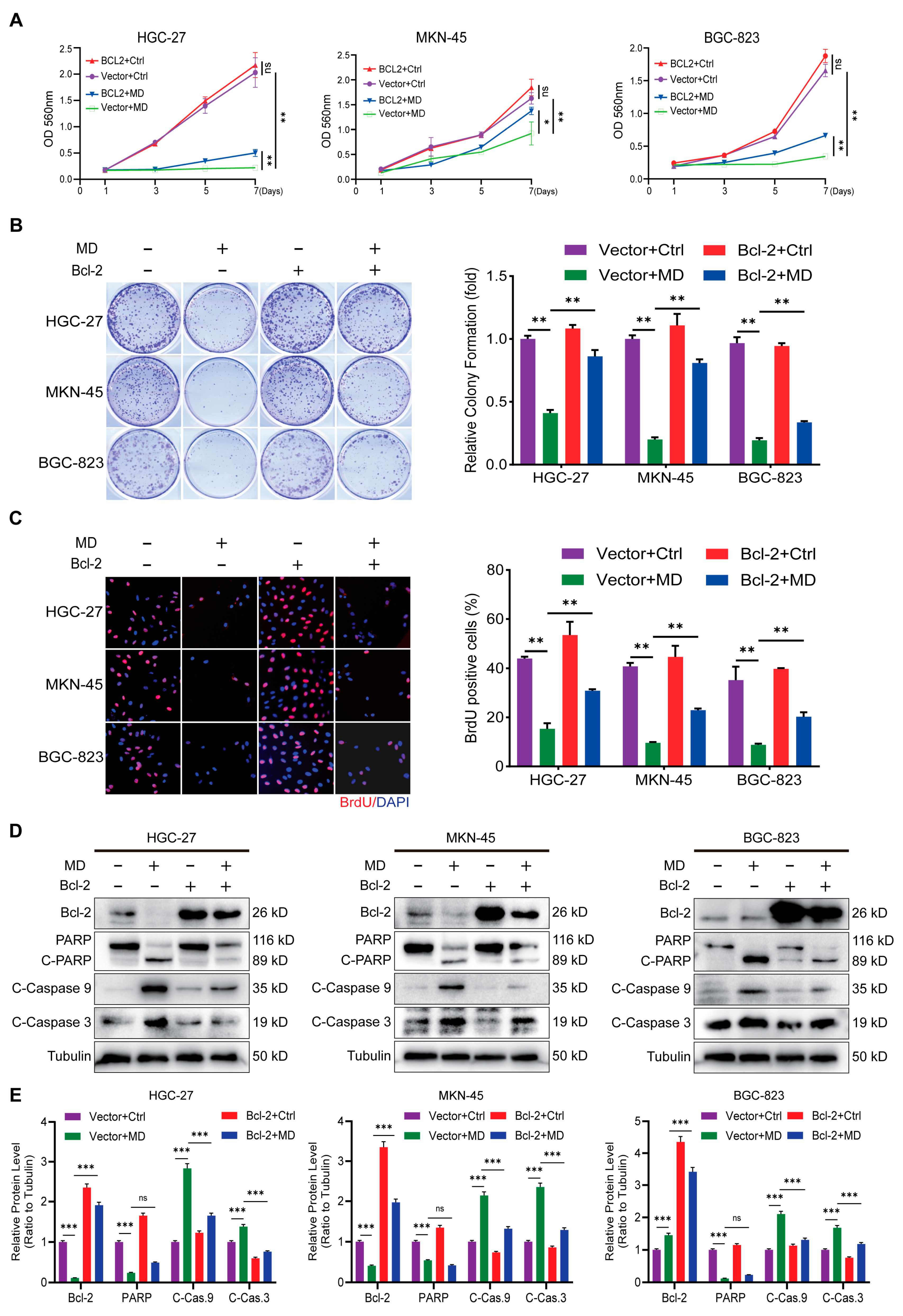 Biomolecules 16 00428 g006 Biomolecules 16 00428 g006