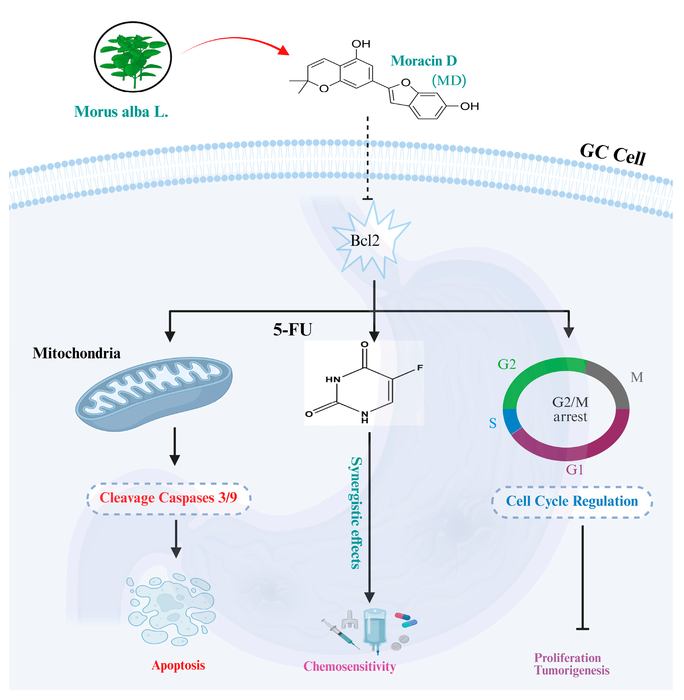 Biomolecules 16 00428 g008 Biomolecules 16 00428 g008