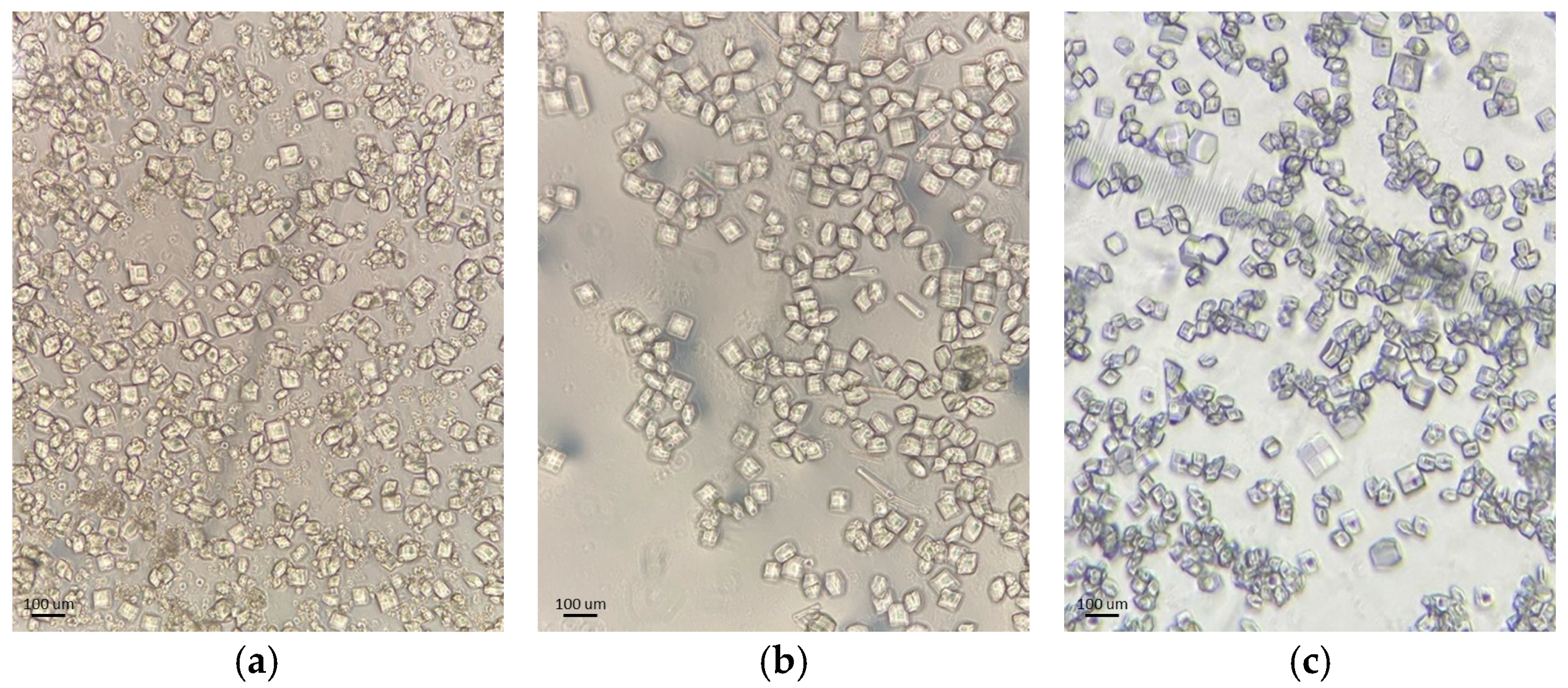 Biomolecules 16 00442 g001