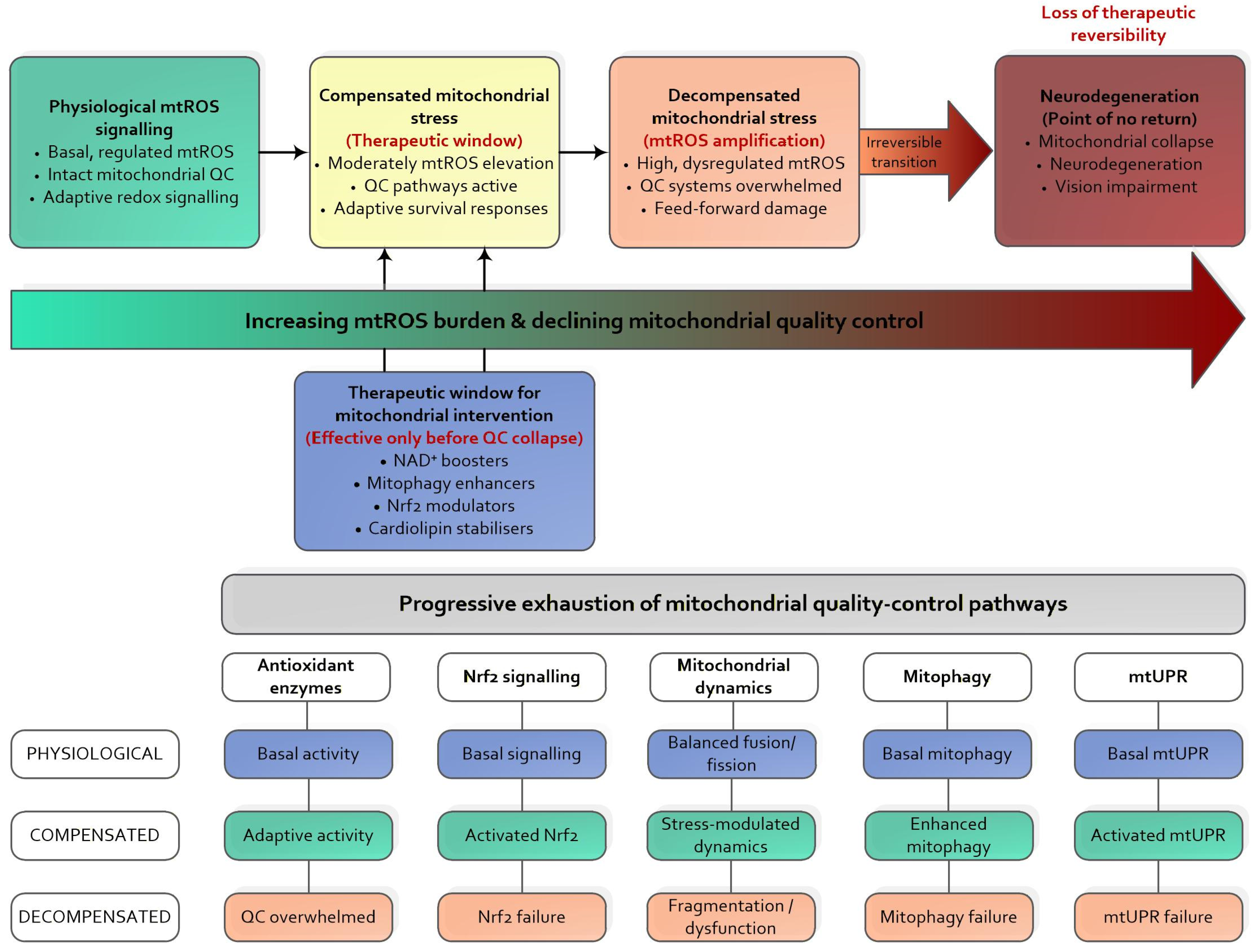 Biomolecules 16 00445 g002