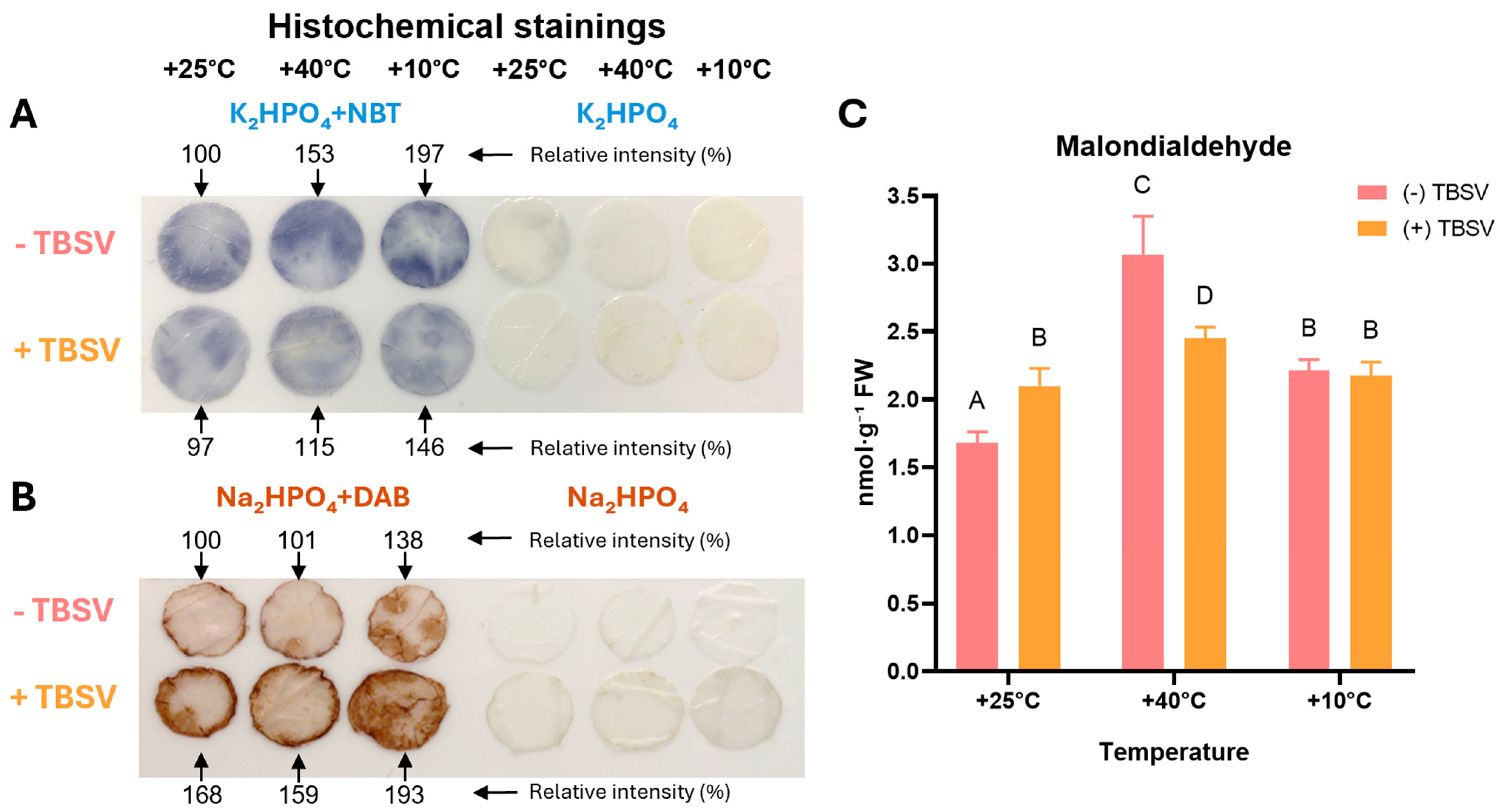 Biomolecules 16 00446 g001 Biomolecules 16 00446 g001