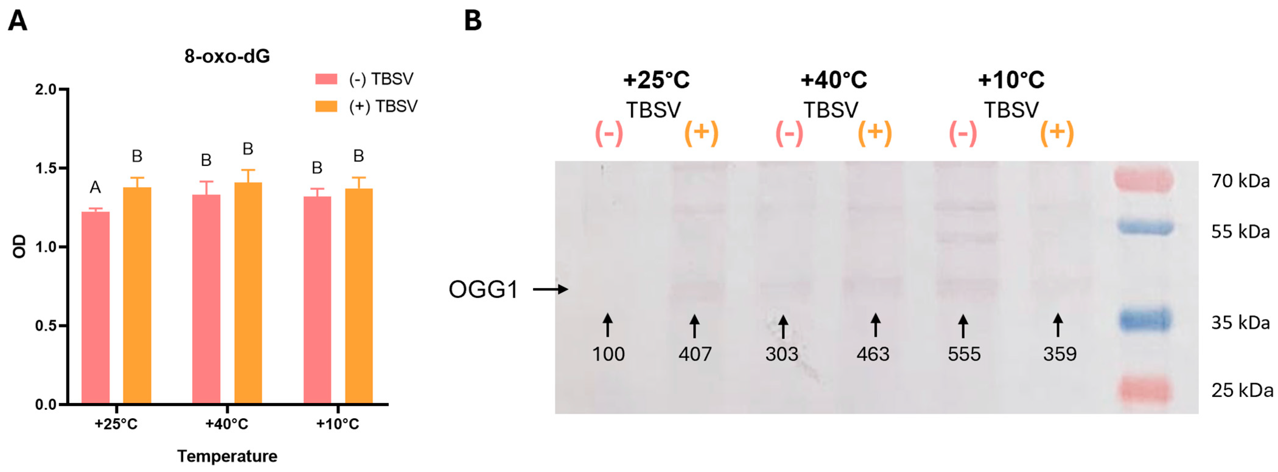 Biomolecules 16 00446 g002 Biomolecules 16 00446 g002