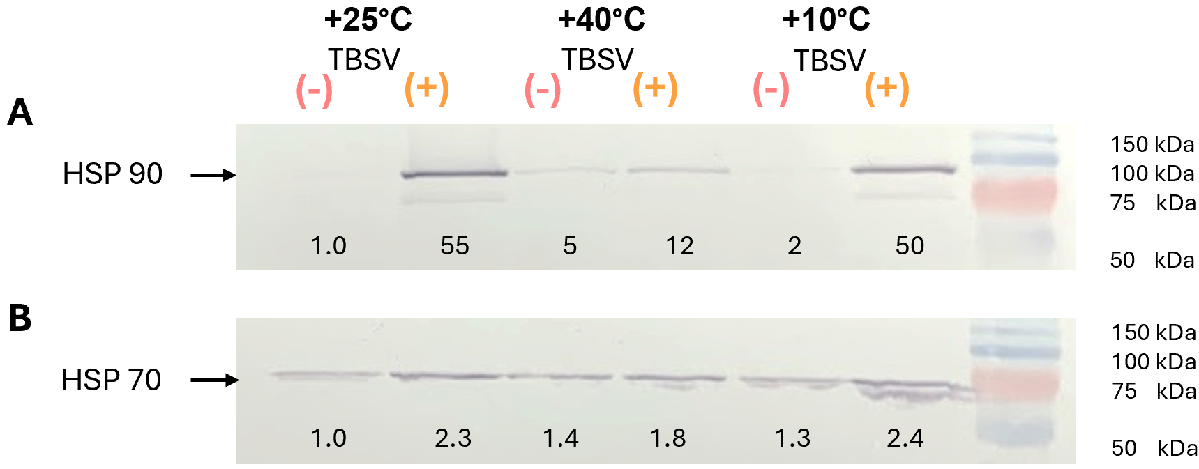 Biomolecules 16 00446 g003 Biomolecules 16 00446 g003
