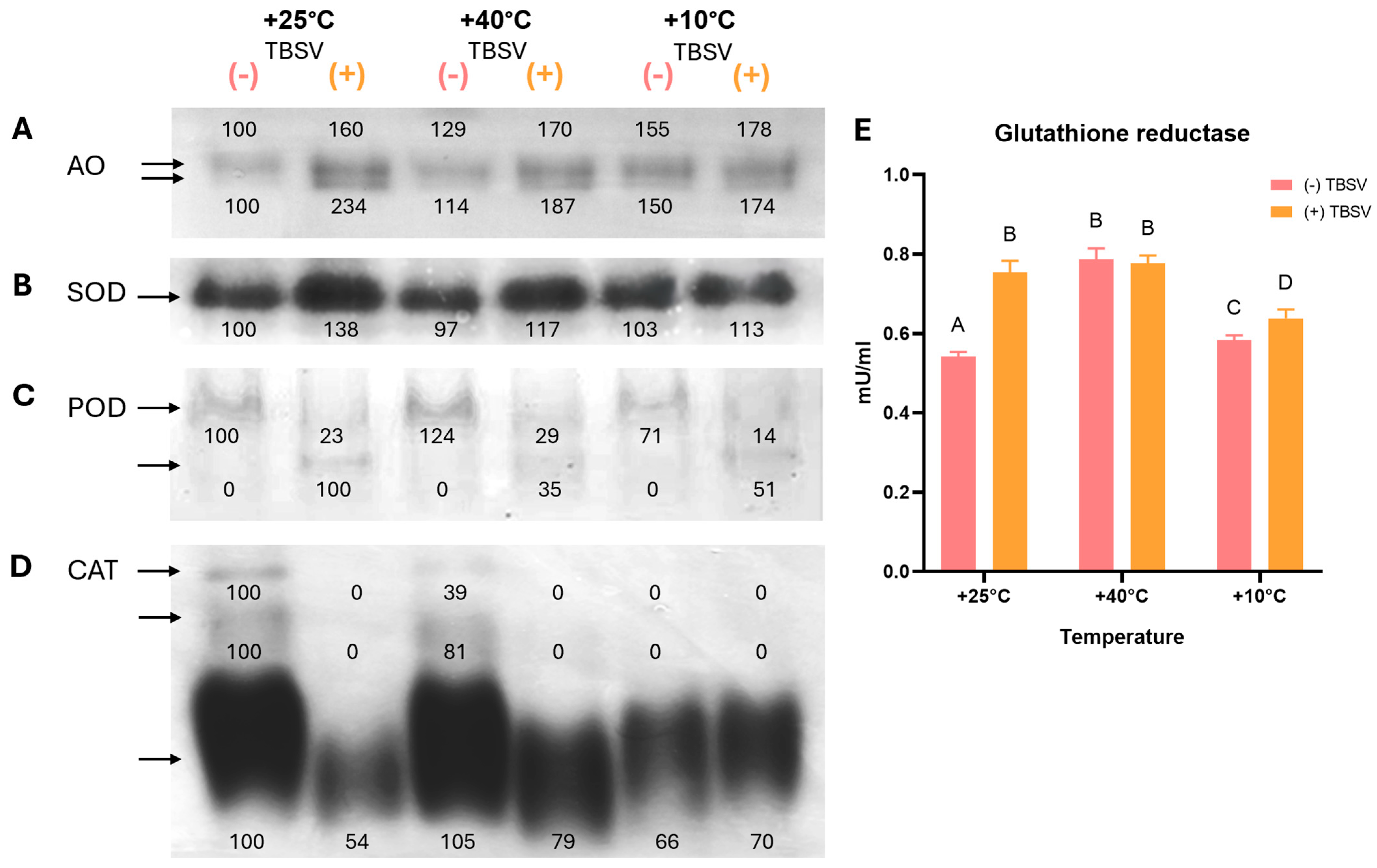 Biomolecules 16 00446 g004 Biomolecules 16 00446 g004