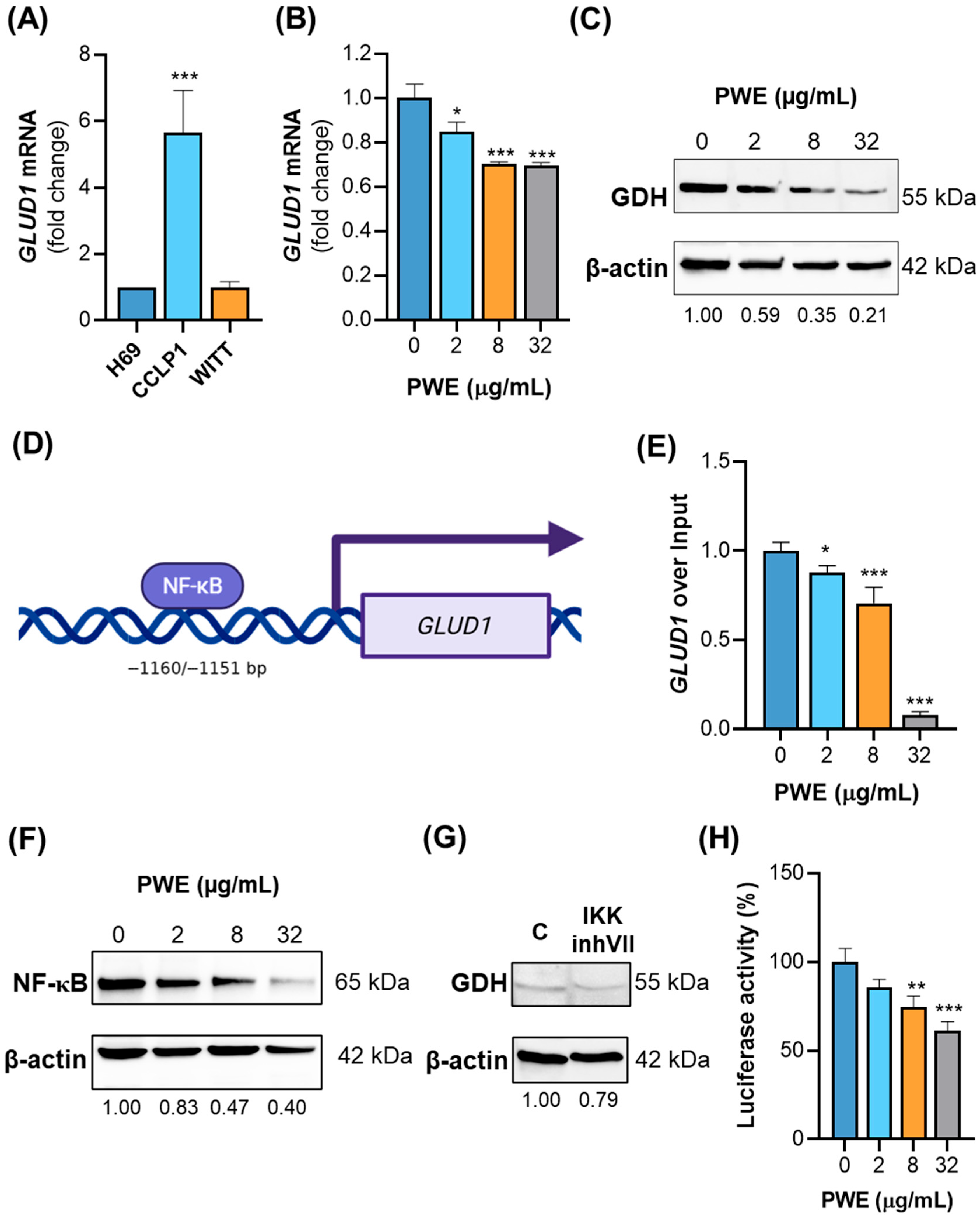 Biomolecules 16 00449 g004 Biomolecules 16 00449 g004