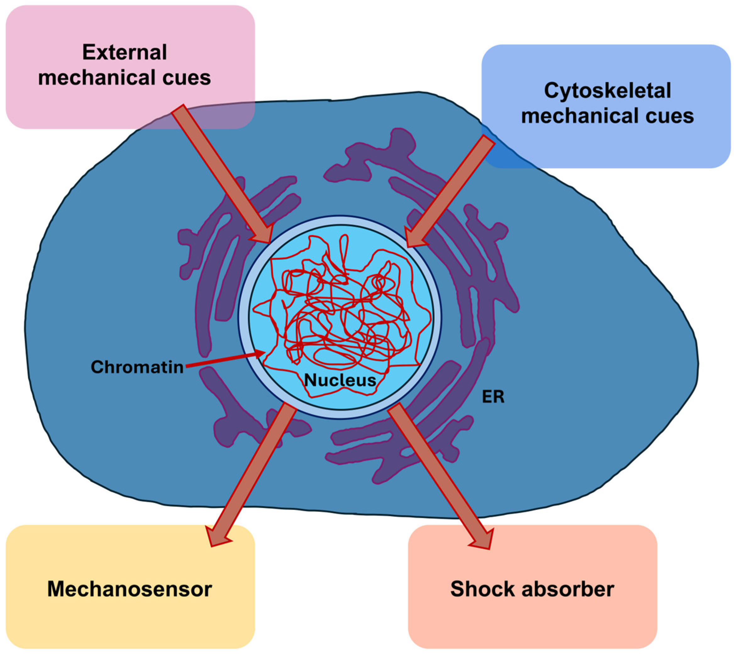 Biomolecules 16 00457 g009 Biomolecules 16 00457 g009