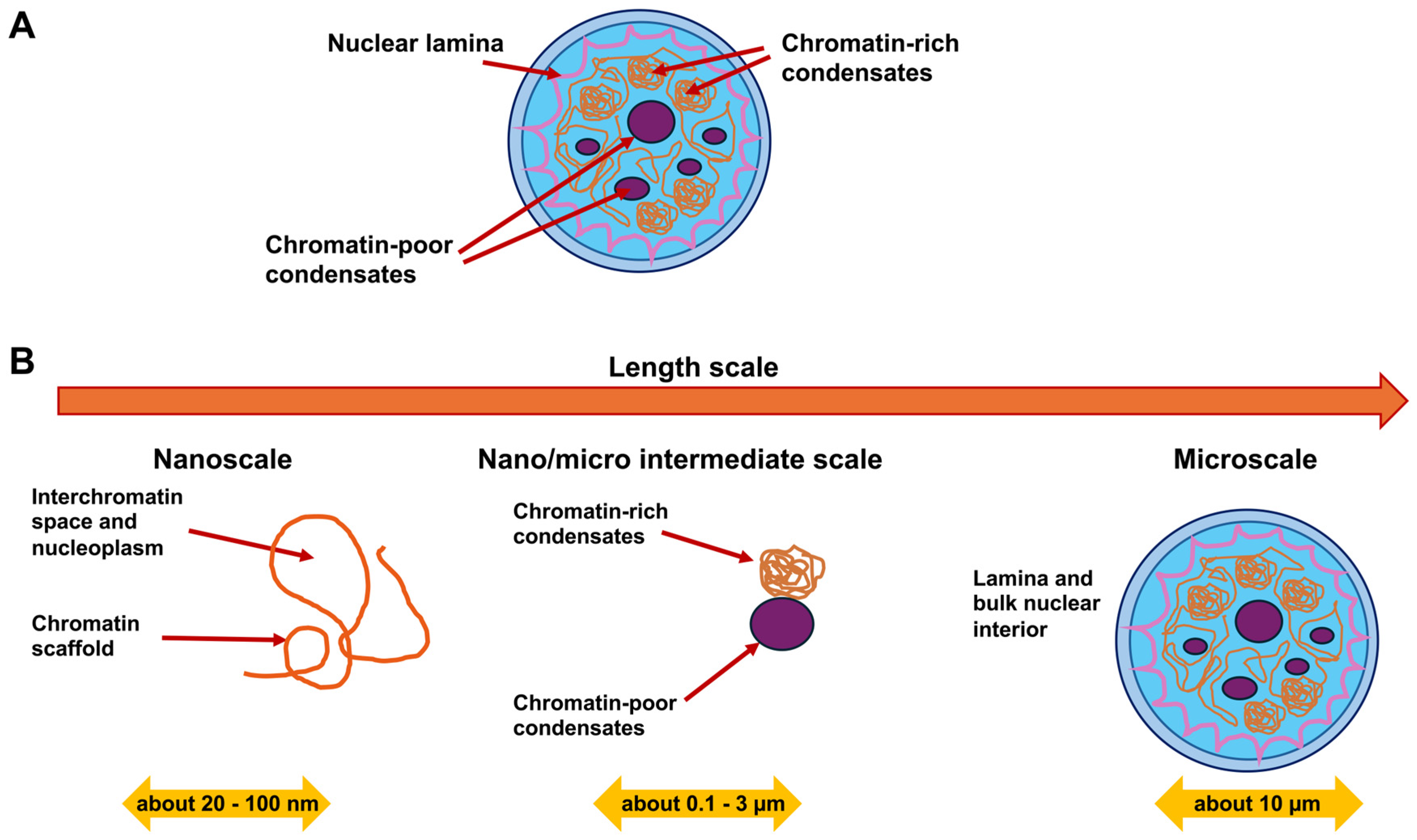 Biomolecules 16 00457 g010 Biomolecules 16 00457 g010
