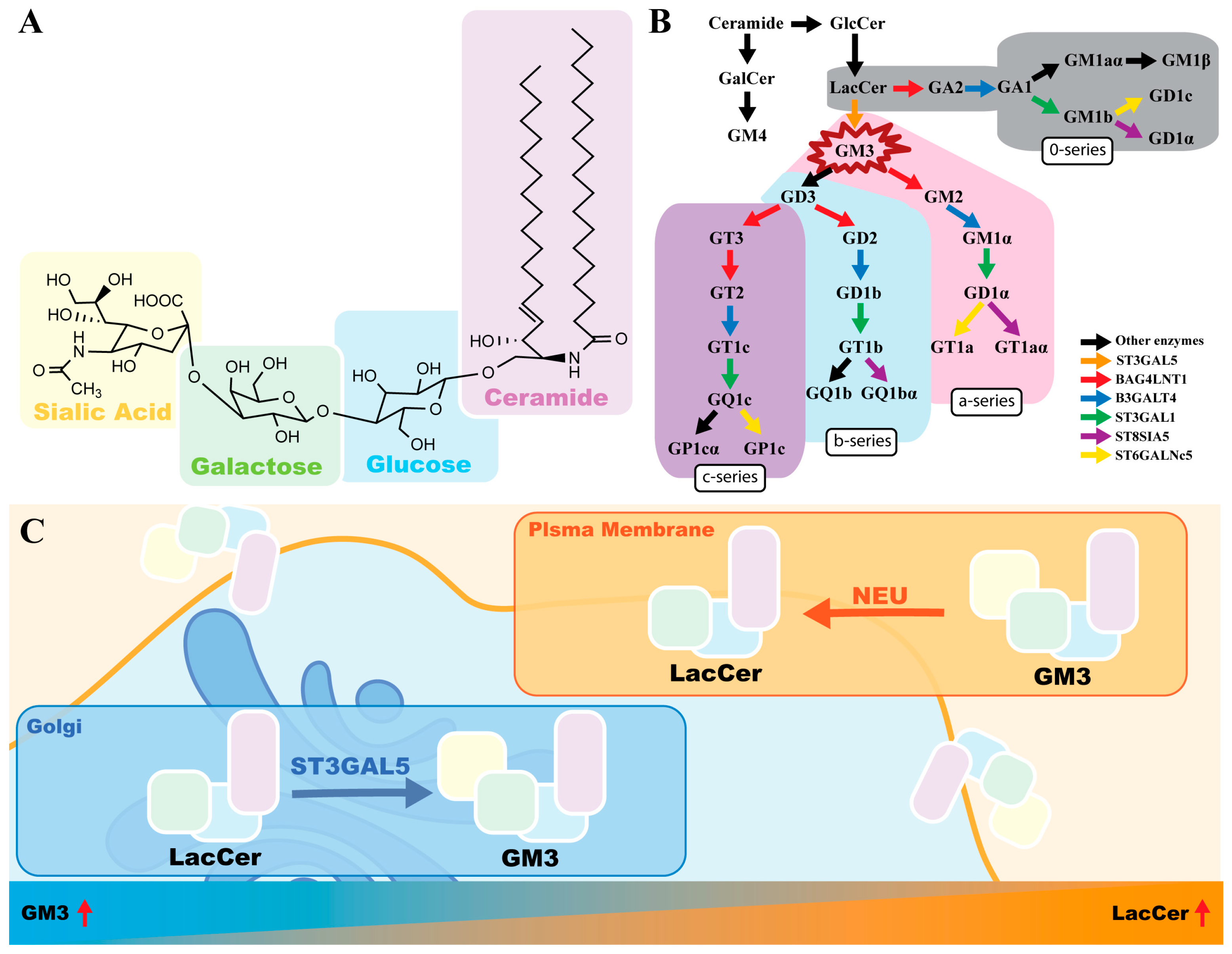 Biomolecules 16 00464 g001 Biomolecules 16 00464 g001
