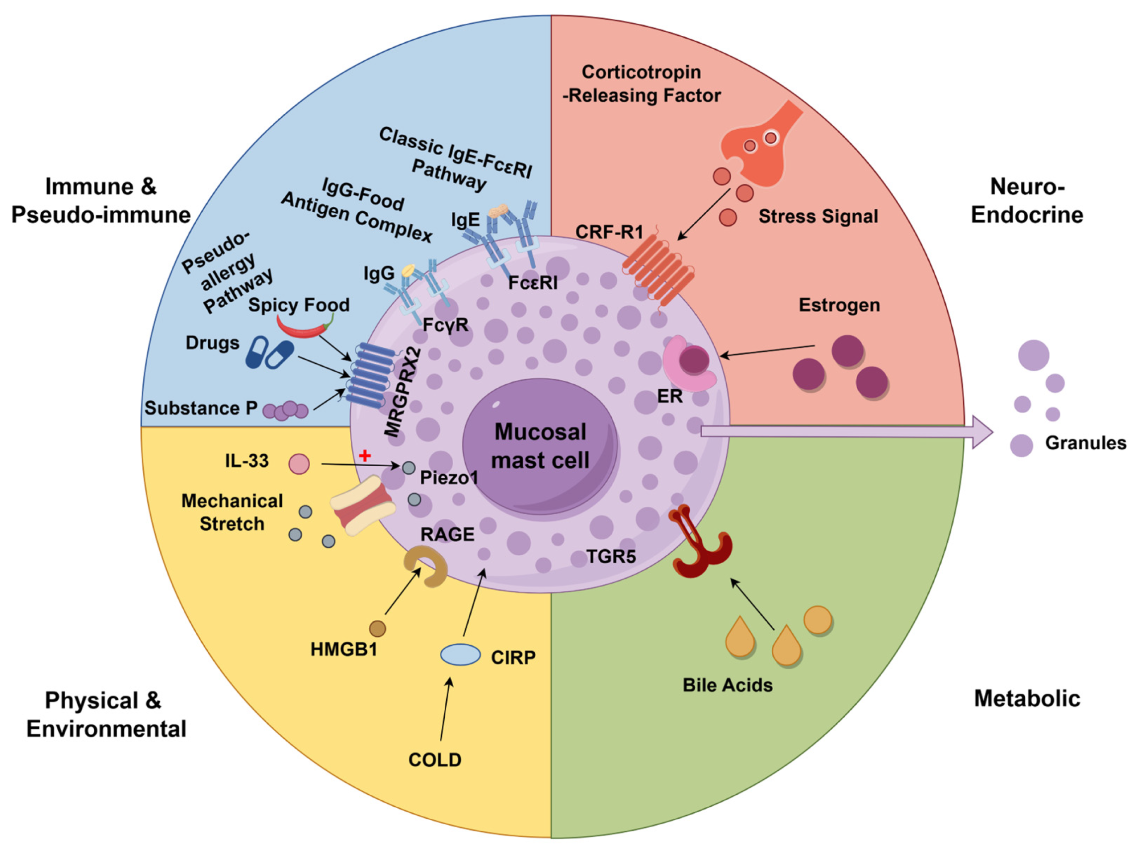 Biomolecules 16 00469 g001 Biomolecules 16 00469 g001
