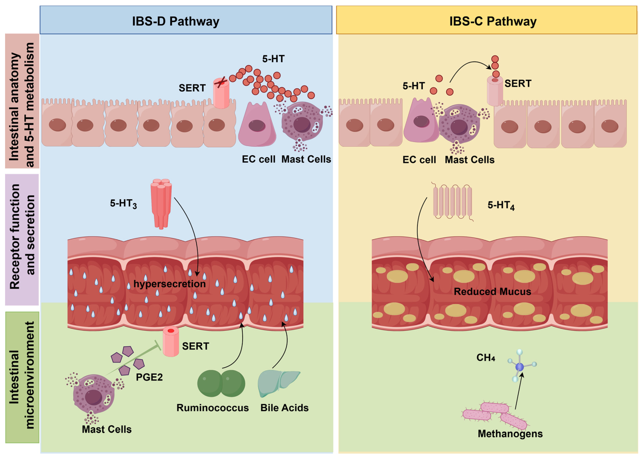Biomolecules 16 00469 g003 Biomolecules 16 00469 g003
