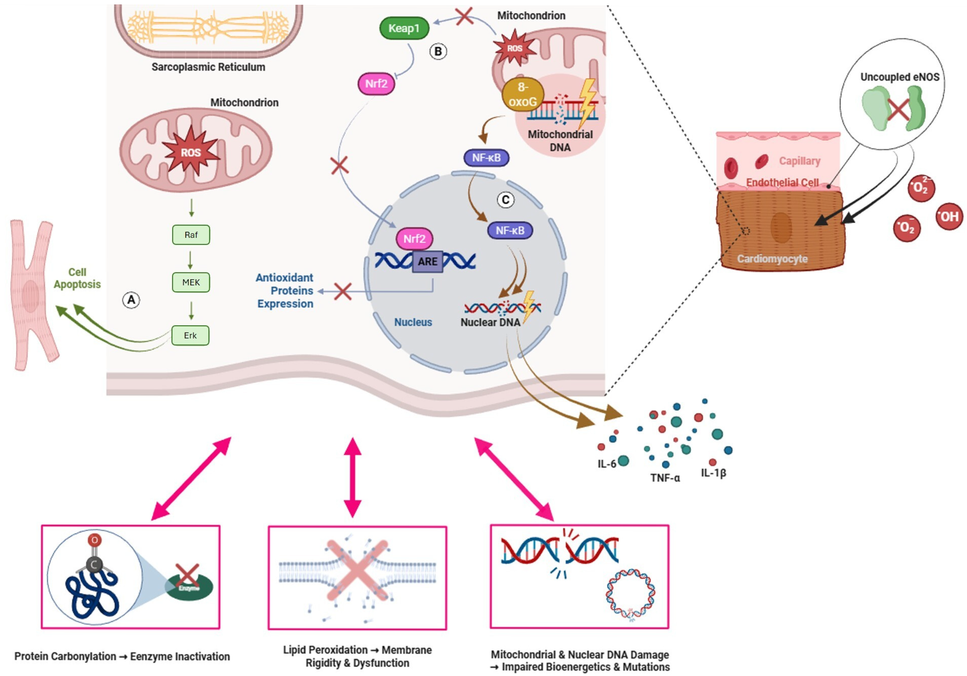 Biomolecules 16 00470 g001 Biomolecules 16 00470 g001