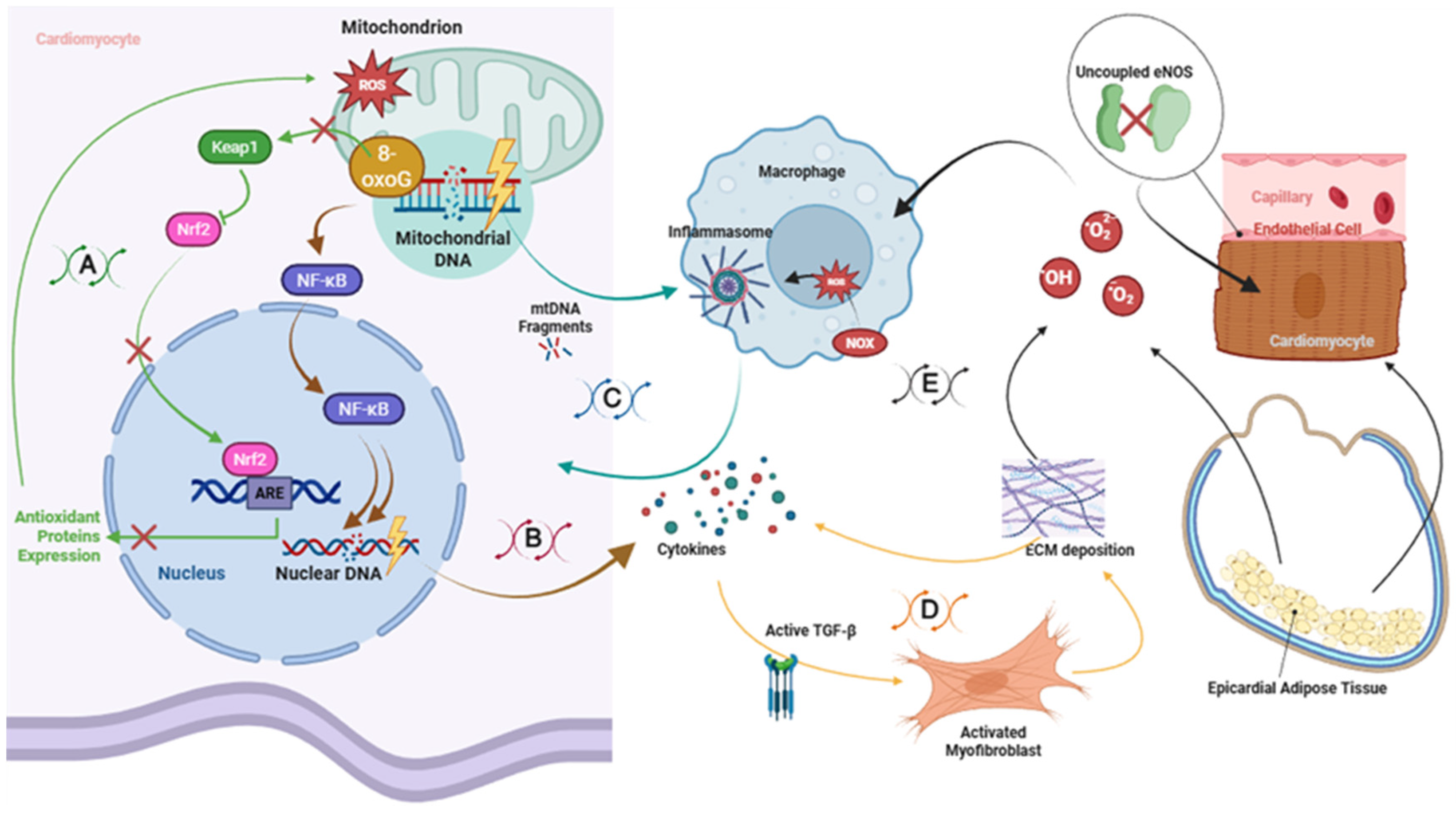 Biomolecules 16 00470 g002 Biomolecules 16 00470 g002