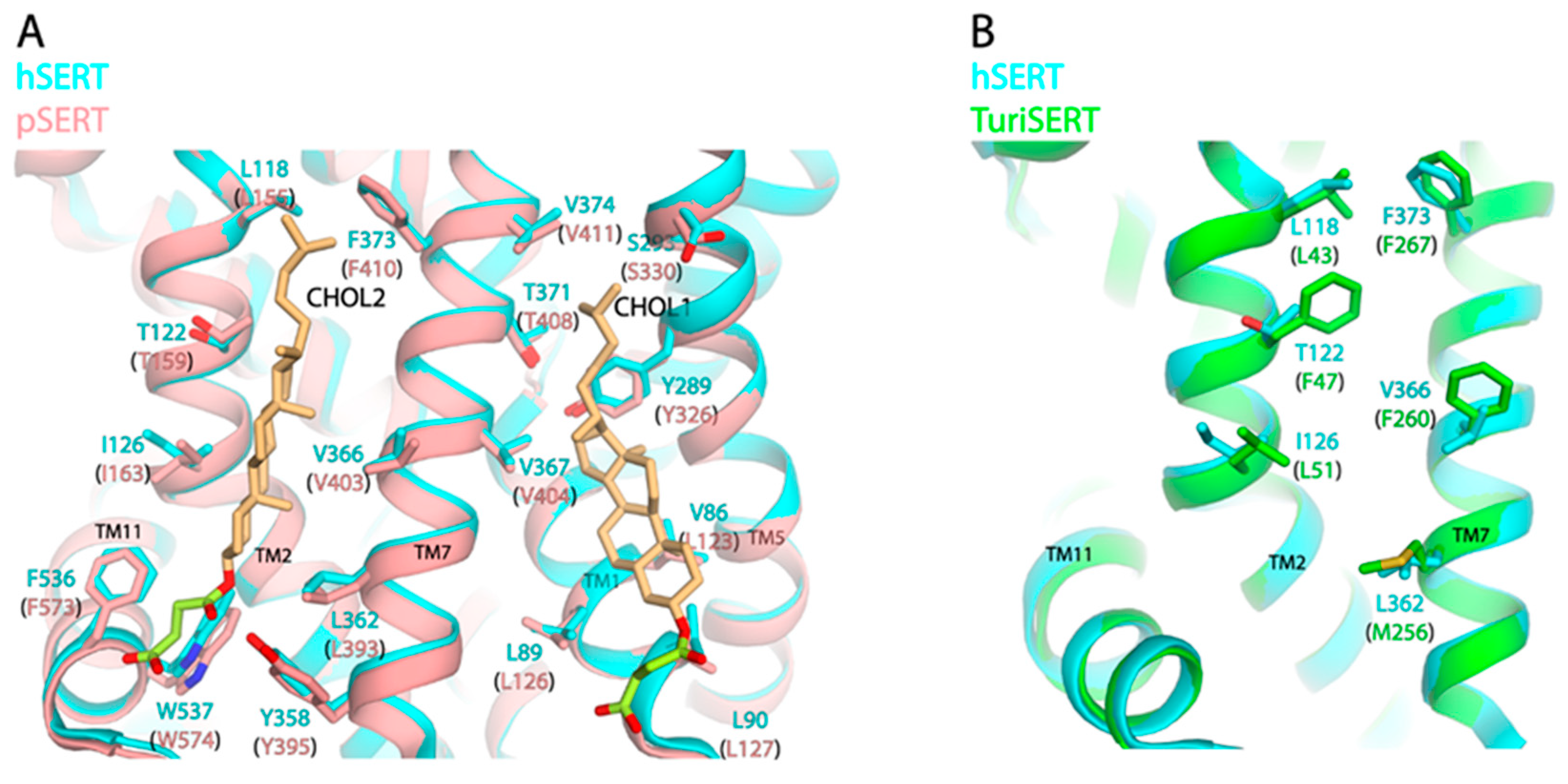 Biomolecules 16 00472 g002 Biomolecules 16 00472 g002