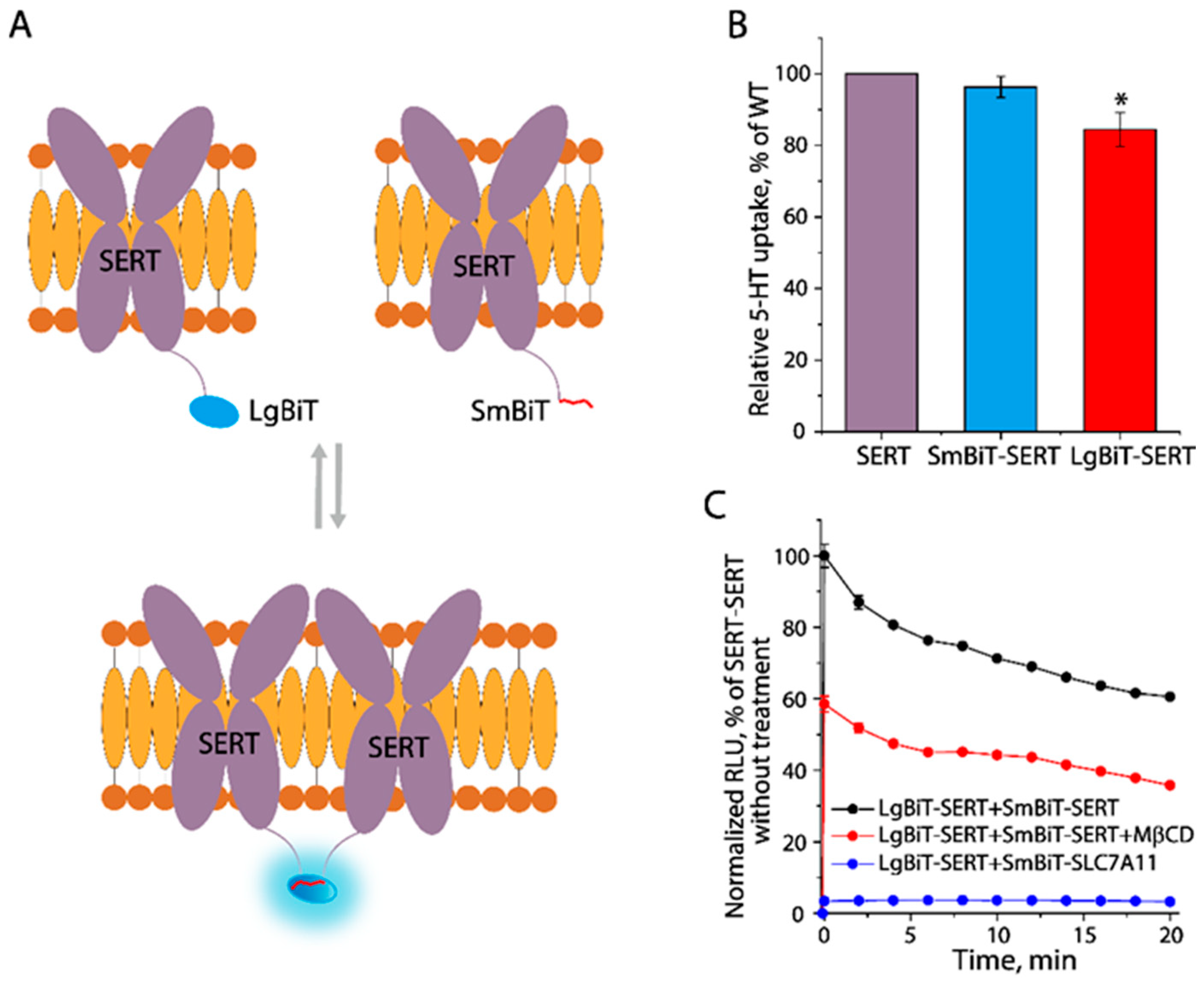 Biomolecules 16 00472 g006 Biomolecules 16 00472 g006