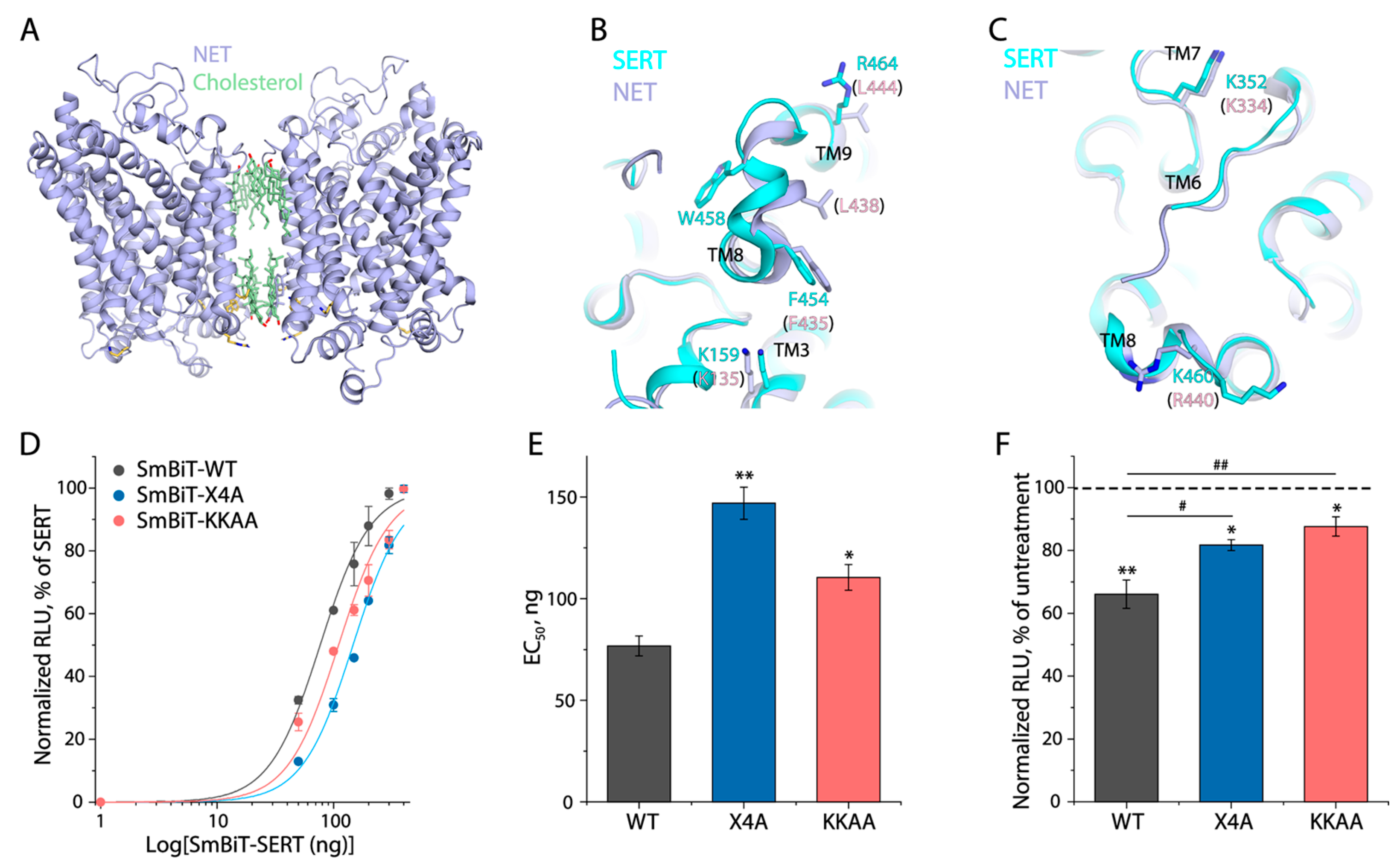 Biomolecules 16 00472 g007 Biomolecules 16 00472 g007
