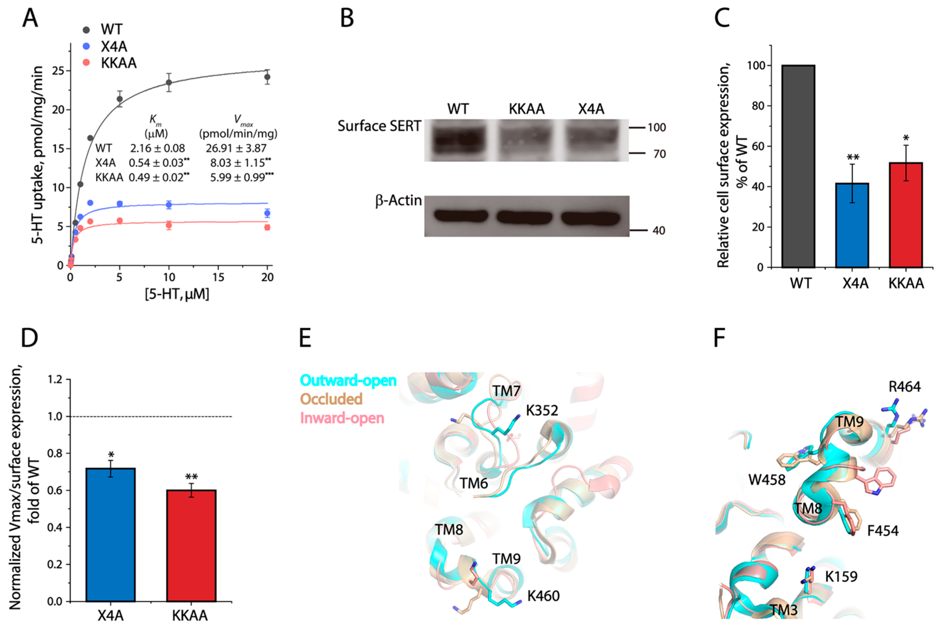 Biomolecules 16 00472 g008 Biomolecules 16 00472 g008