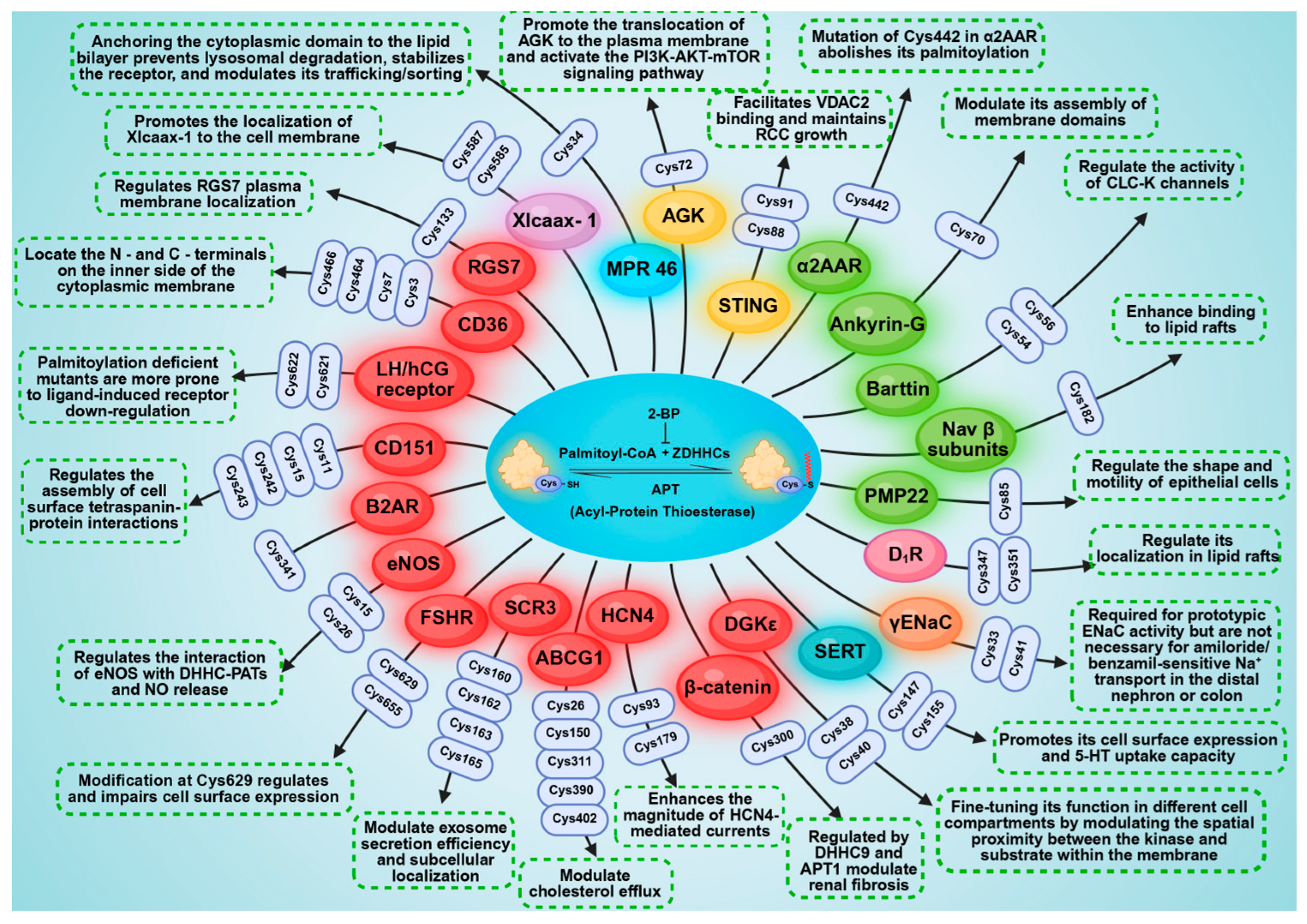 Biomolecules 16 00473 g004 Biomolecules 16 00473 g004