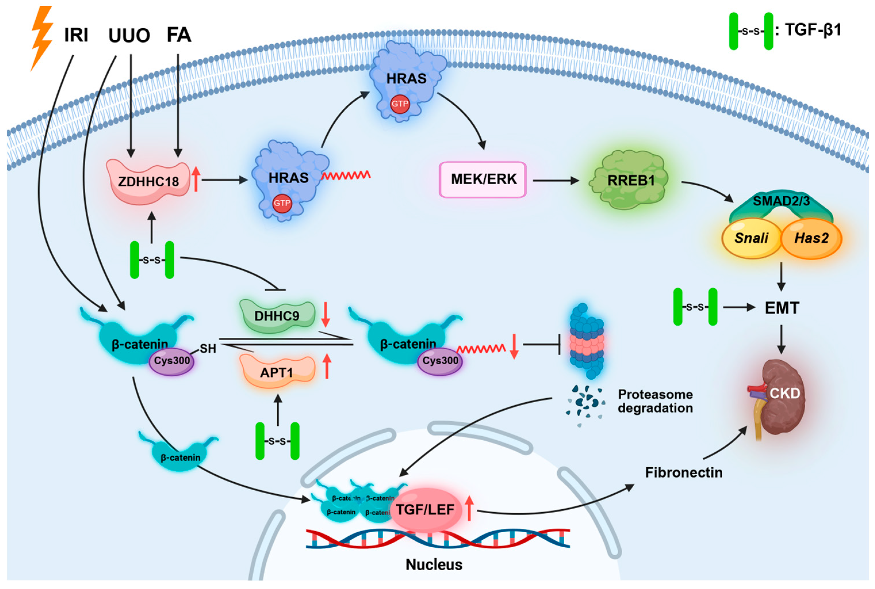 Biomolecules 16 00473 g005 Biomolecules 16 00473 g005