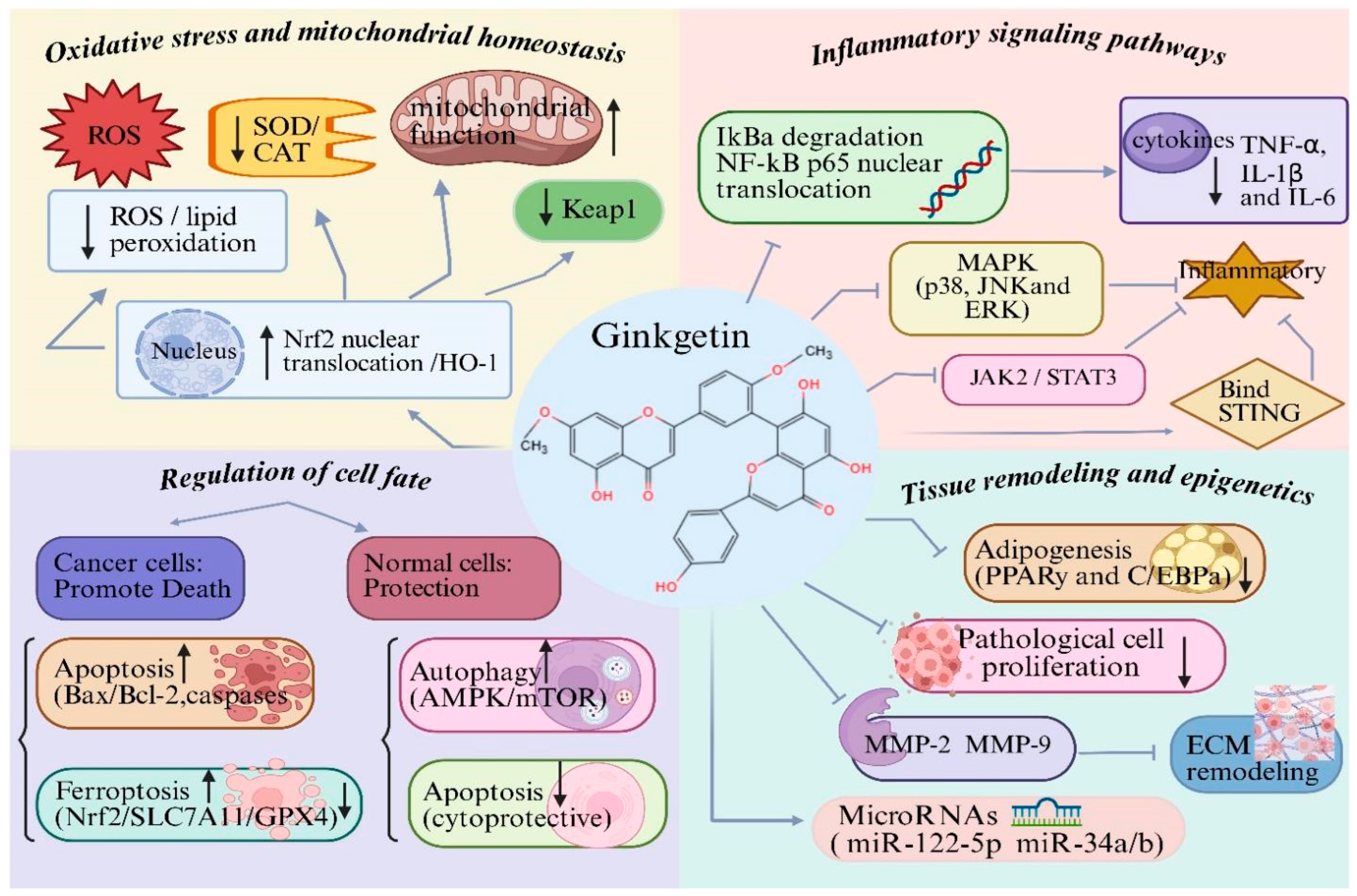 Biomolecules 16 00488 g002