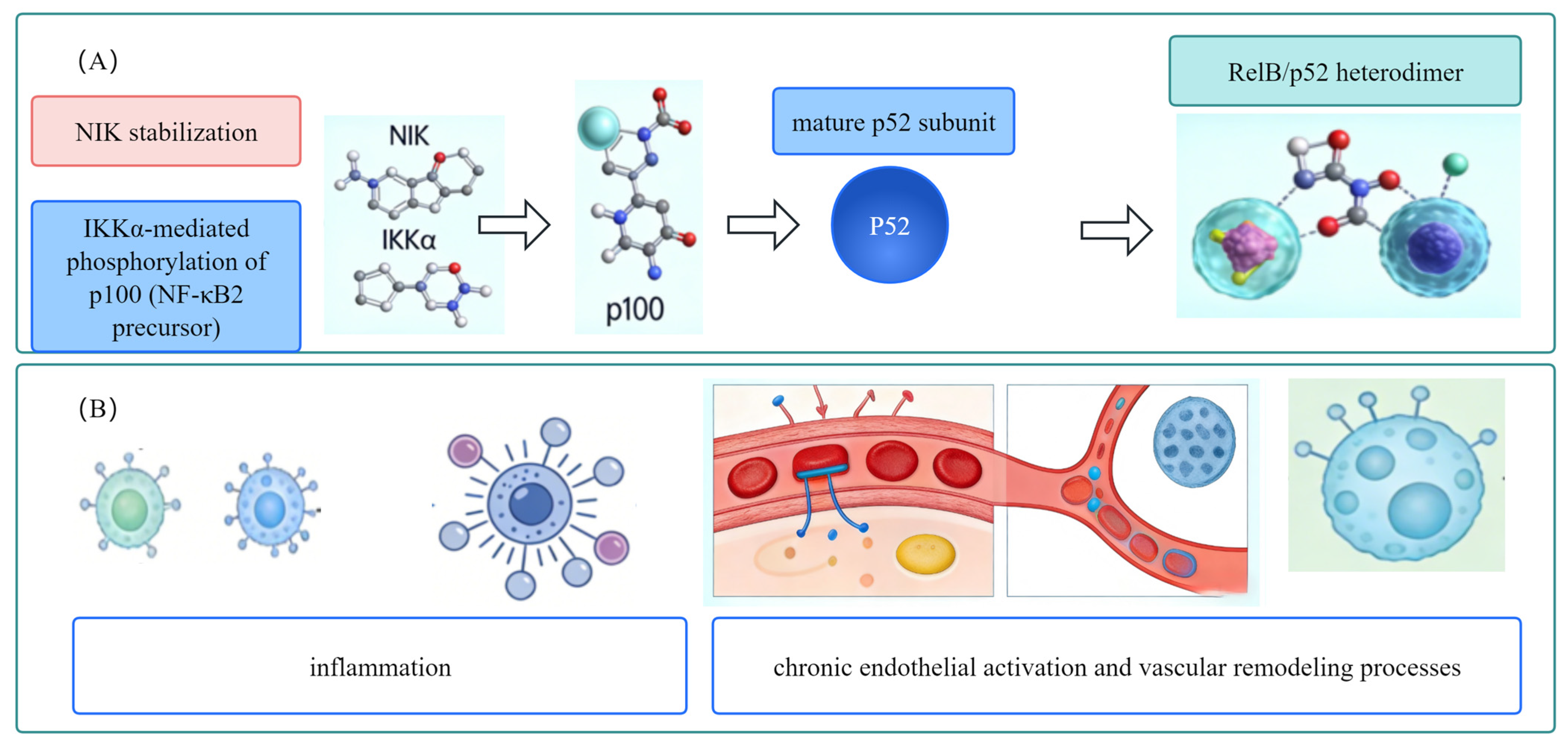 Biomolecules 16 00491 g002 Biomolecules 16 00491 g002