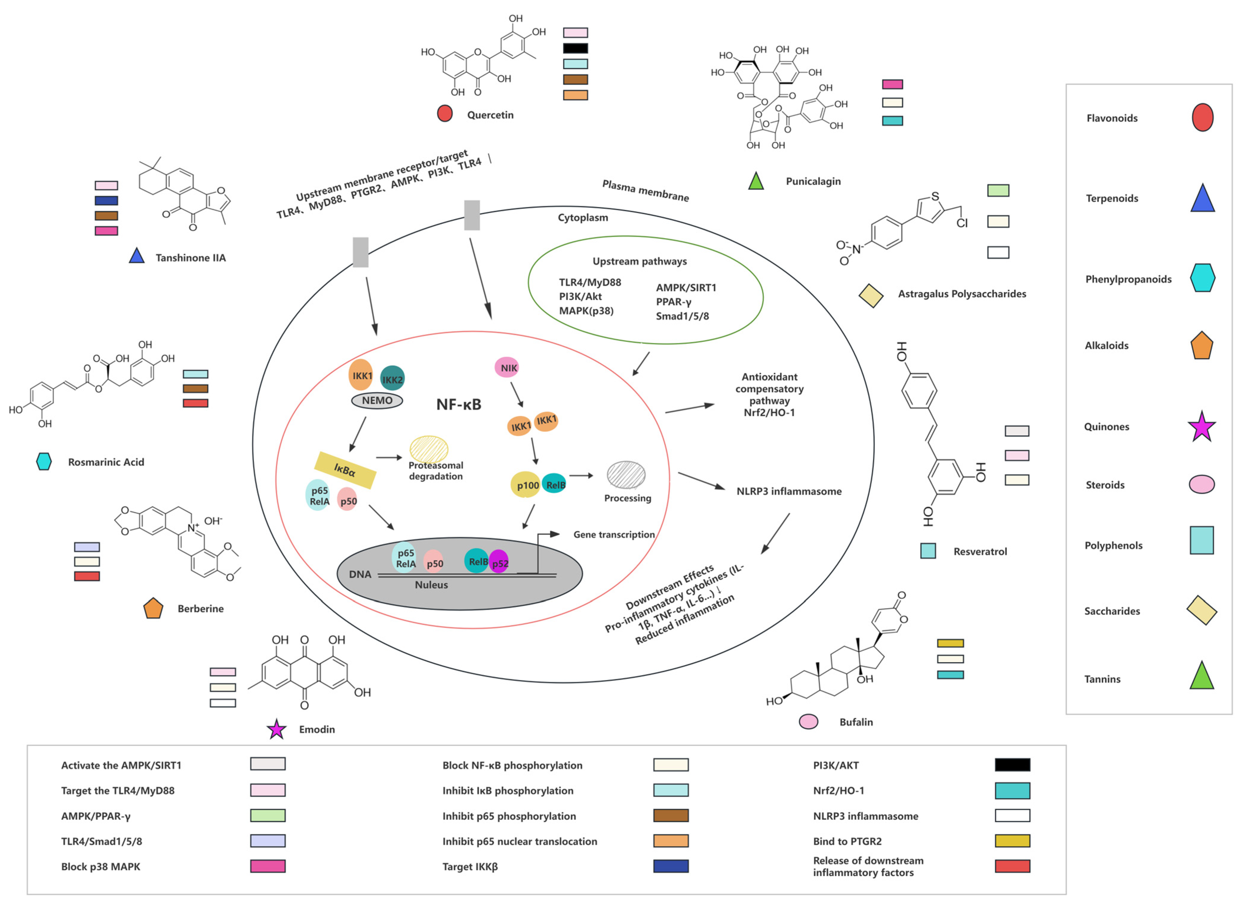 Biomolecules 16 00491 g004 Biomolecules 16 00491 g004