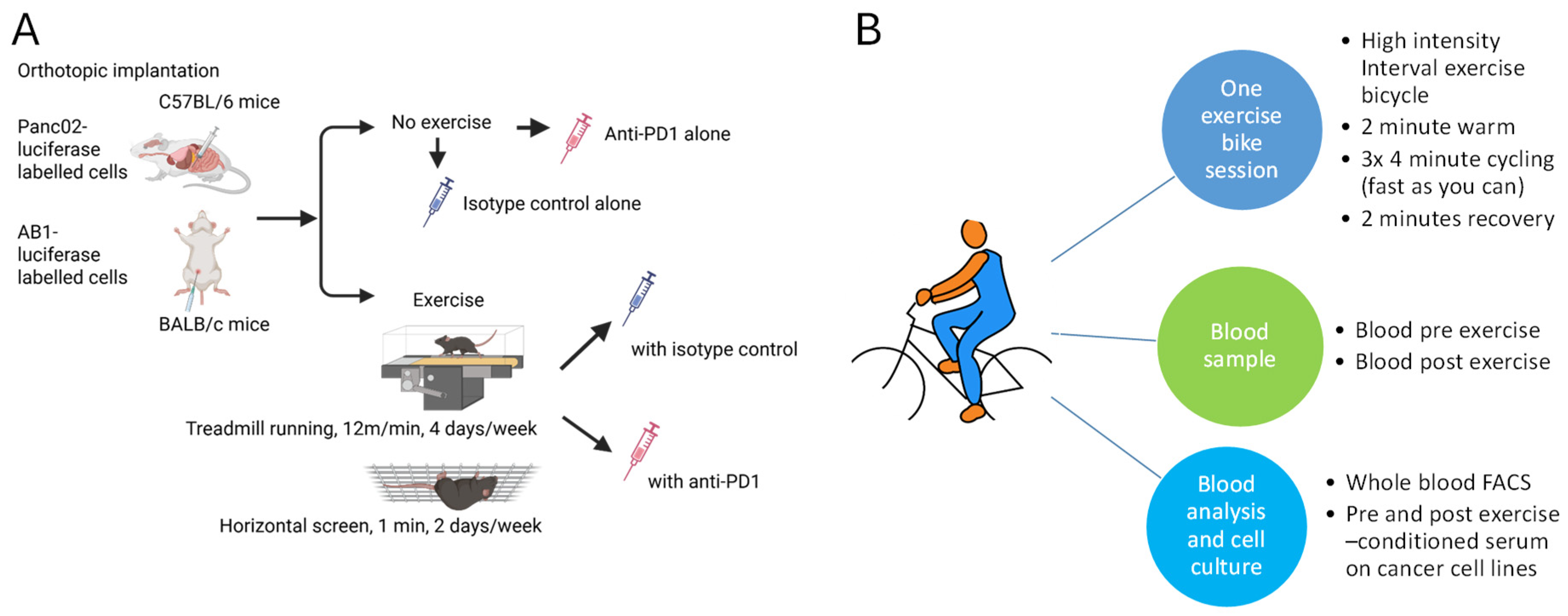 Biomolecules 16 00493 g001 Biomolecules 16 00493 g001