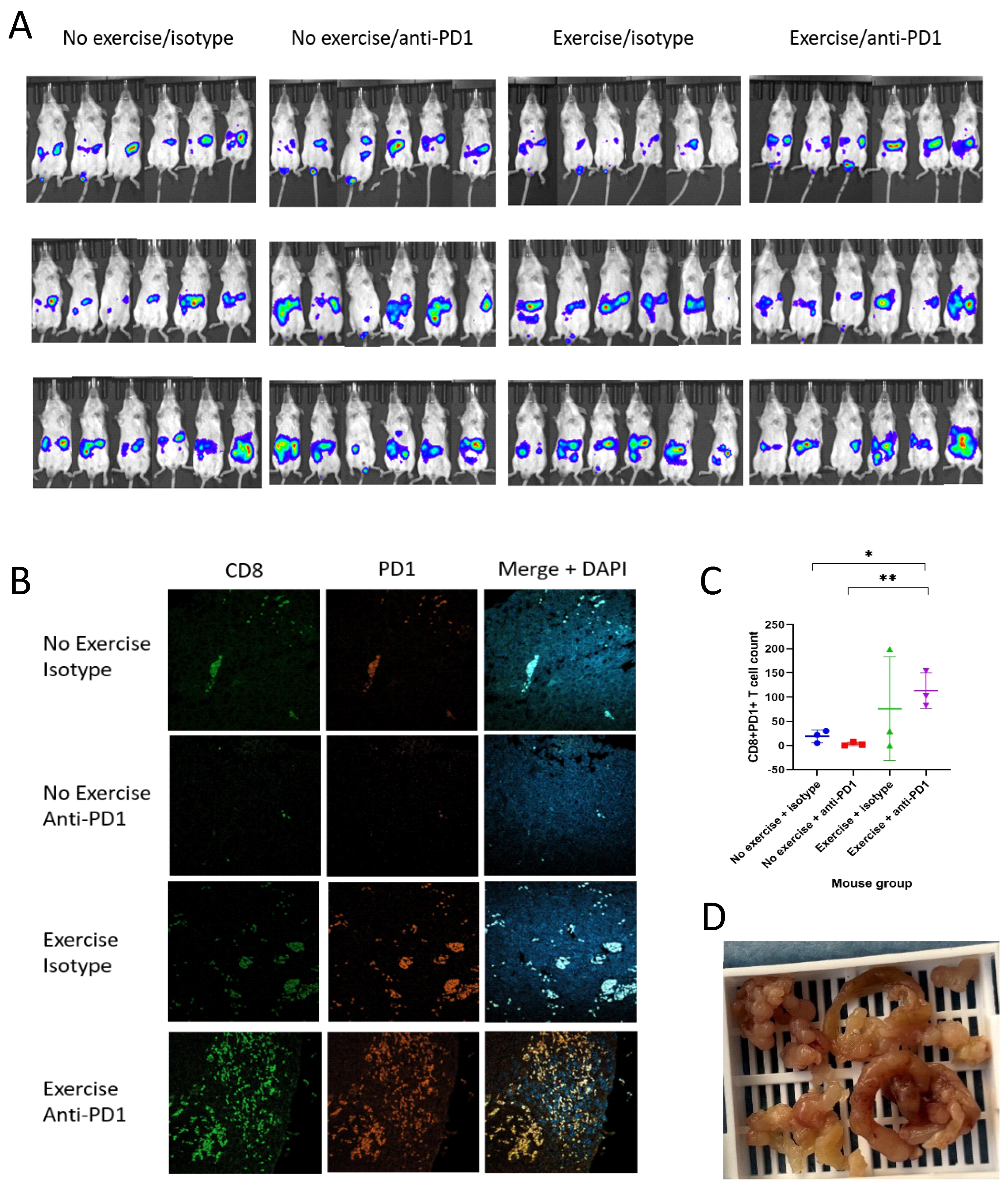 Biomolecules 16 00493 g003 Biomolecules 16 00493 g003