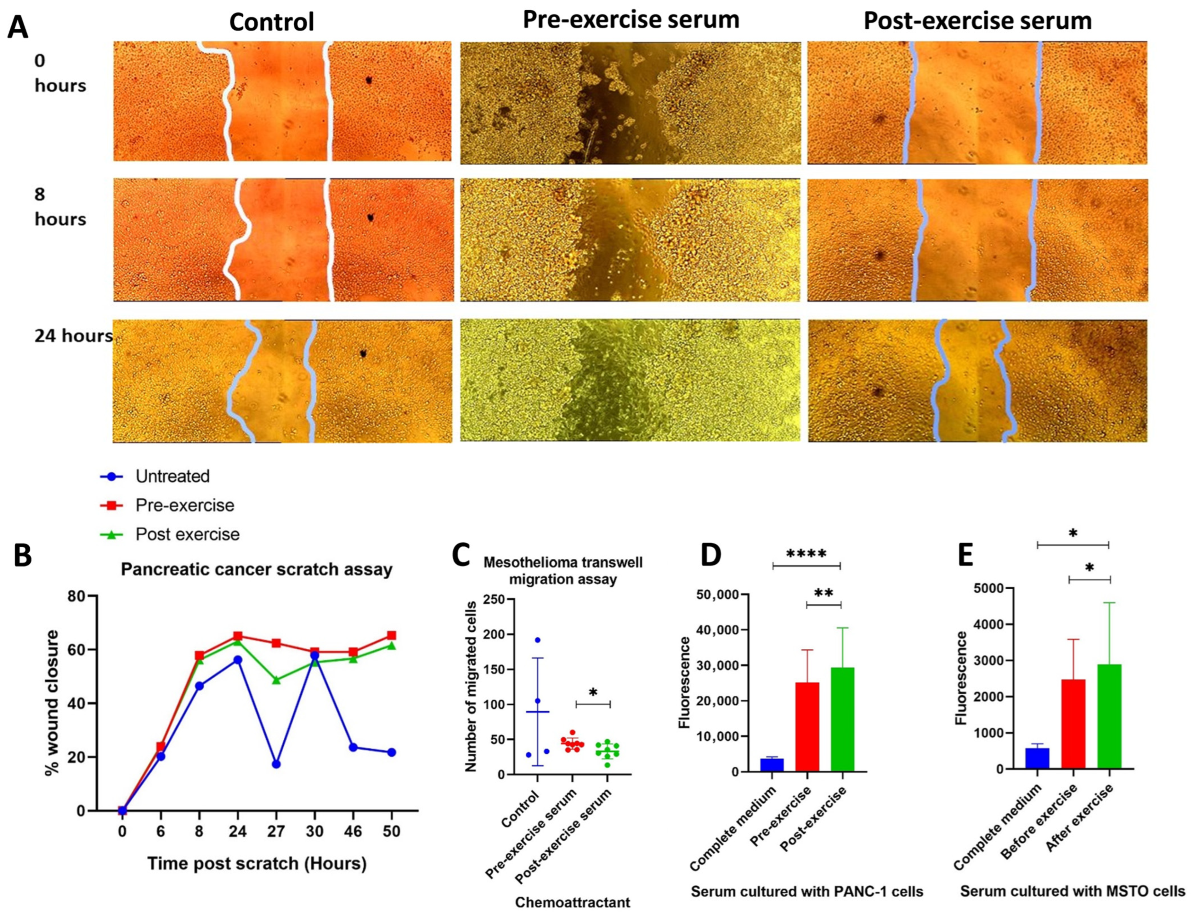 Biomolecules 16 00493 g005 Biomolecules 16 00493 g005