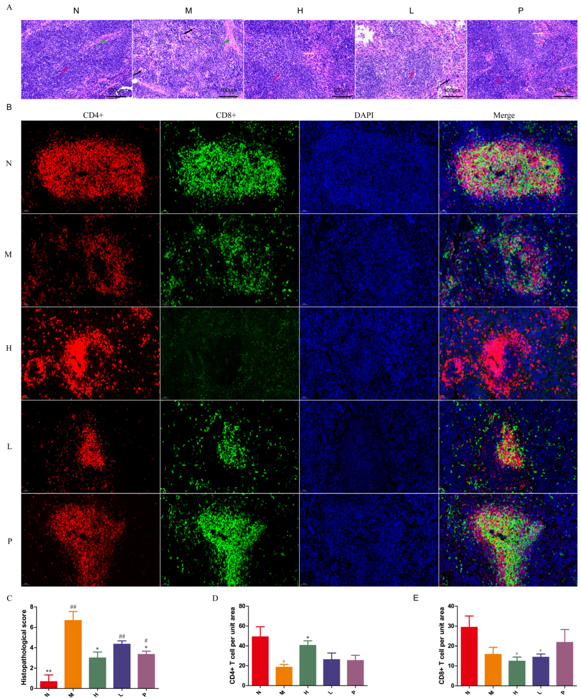 Biomolecules 16 00496 g003 Biomolecules 16 00496 g003