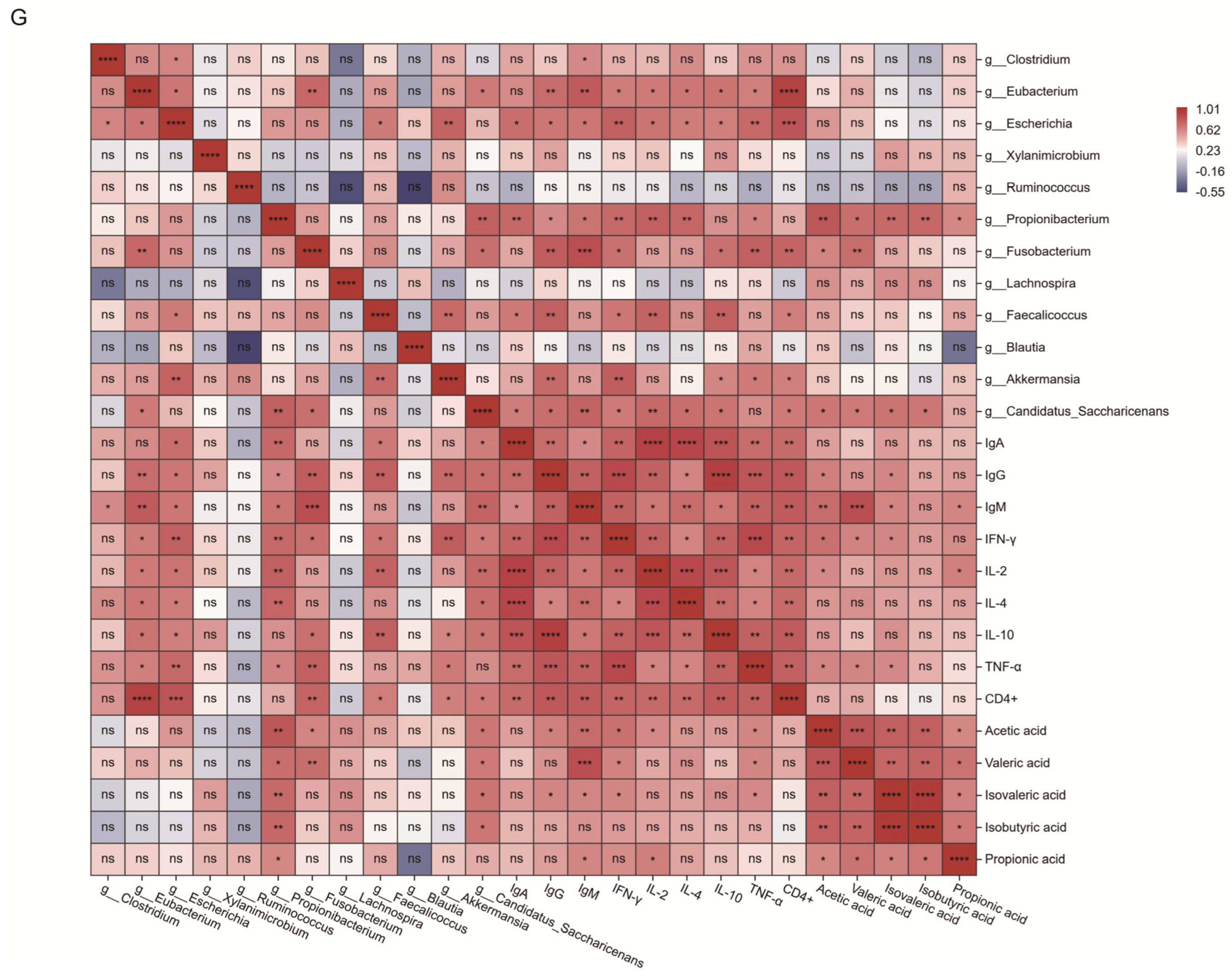 Biomolecules 16 00496 g008b Biomolecules 16 00496 g008b