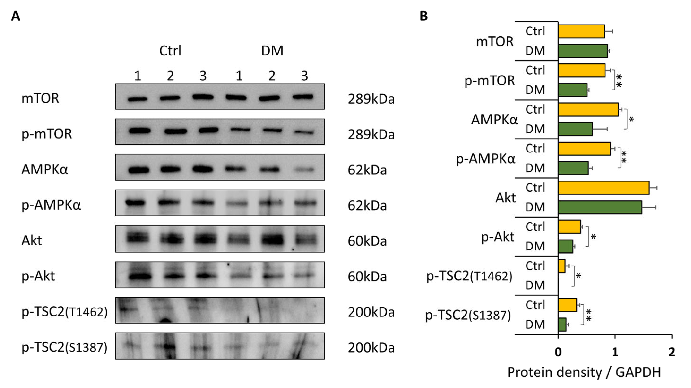 Biomolecules 16 00506 g003 Biomolecules 16 00506 g003