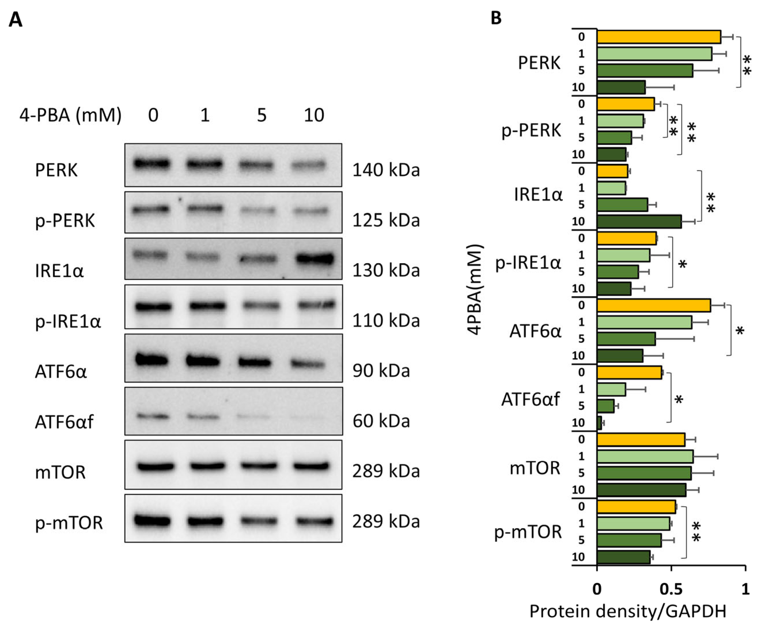 Biomolecules 16 00506 g004 Biomolecules 16 00506 g004