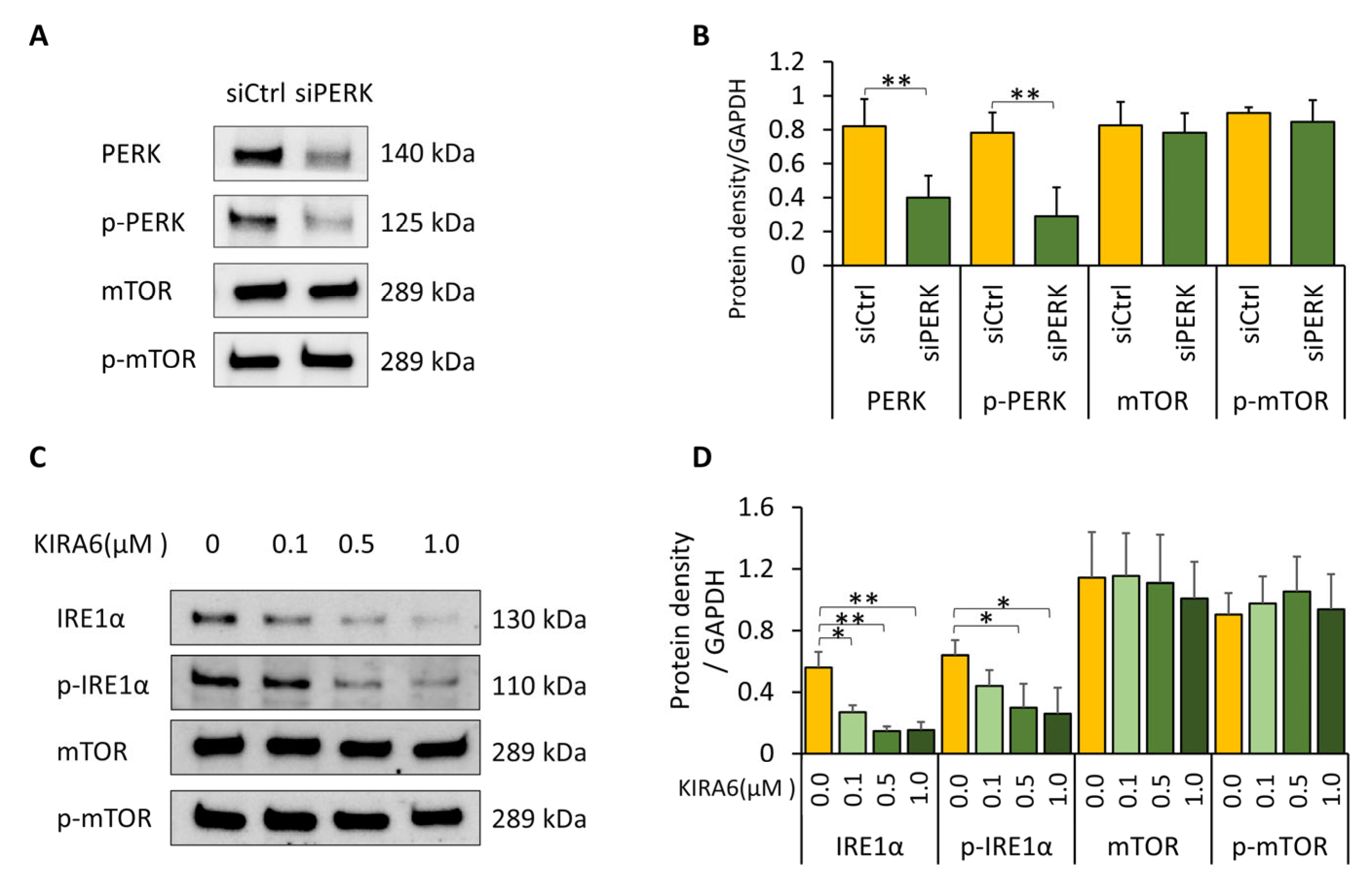 Biomolecules 16 00506 g005 Biomolecules 16 00506 g005