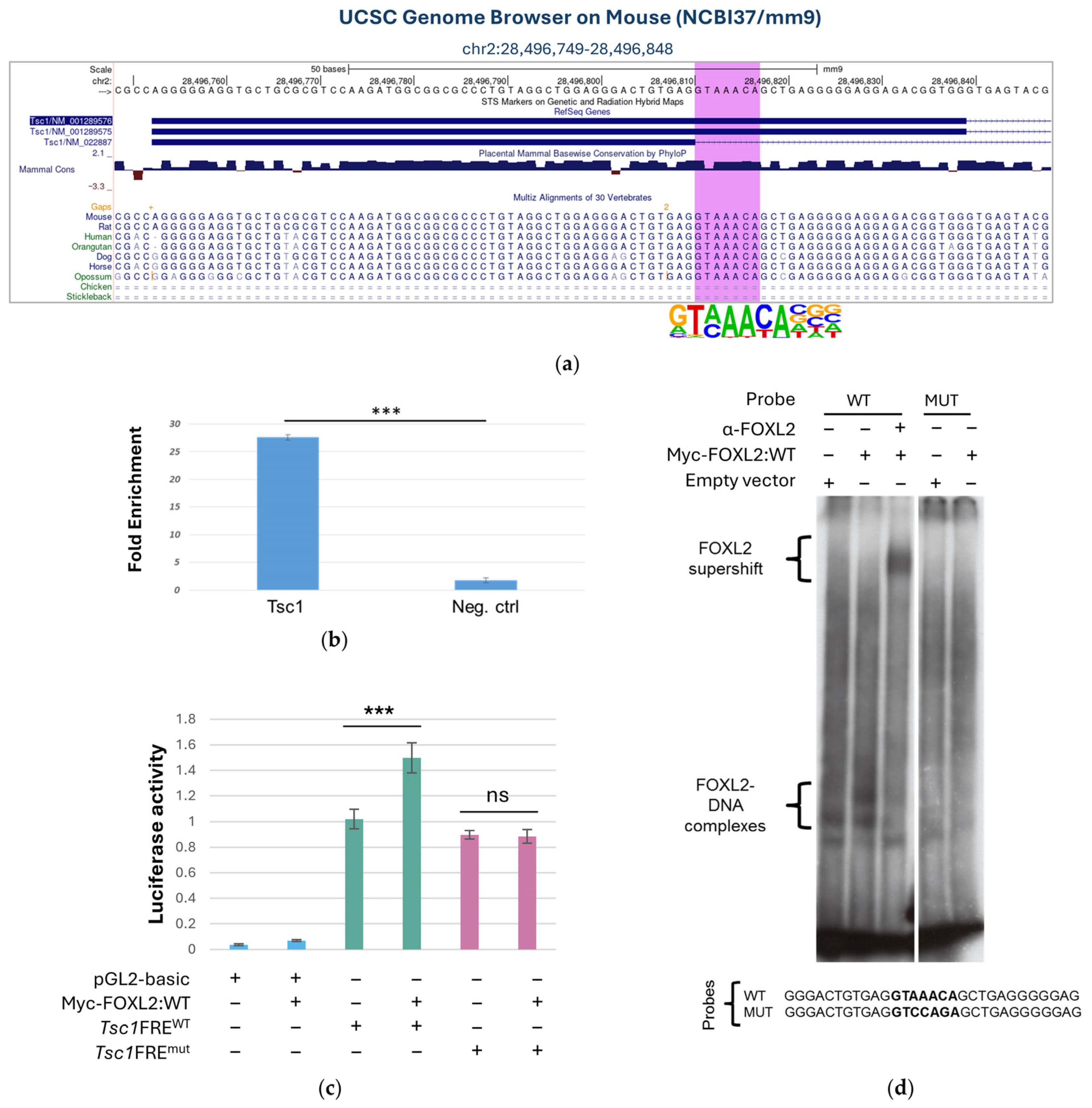 Biomolecules 16 00510 g002 Biomolecules 16 00510 g002