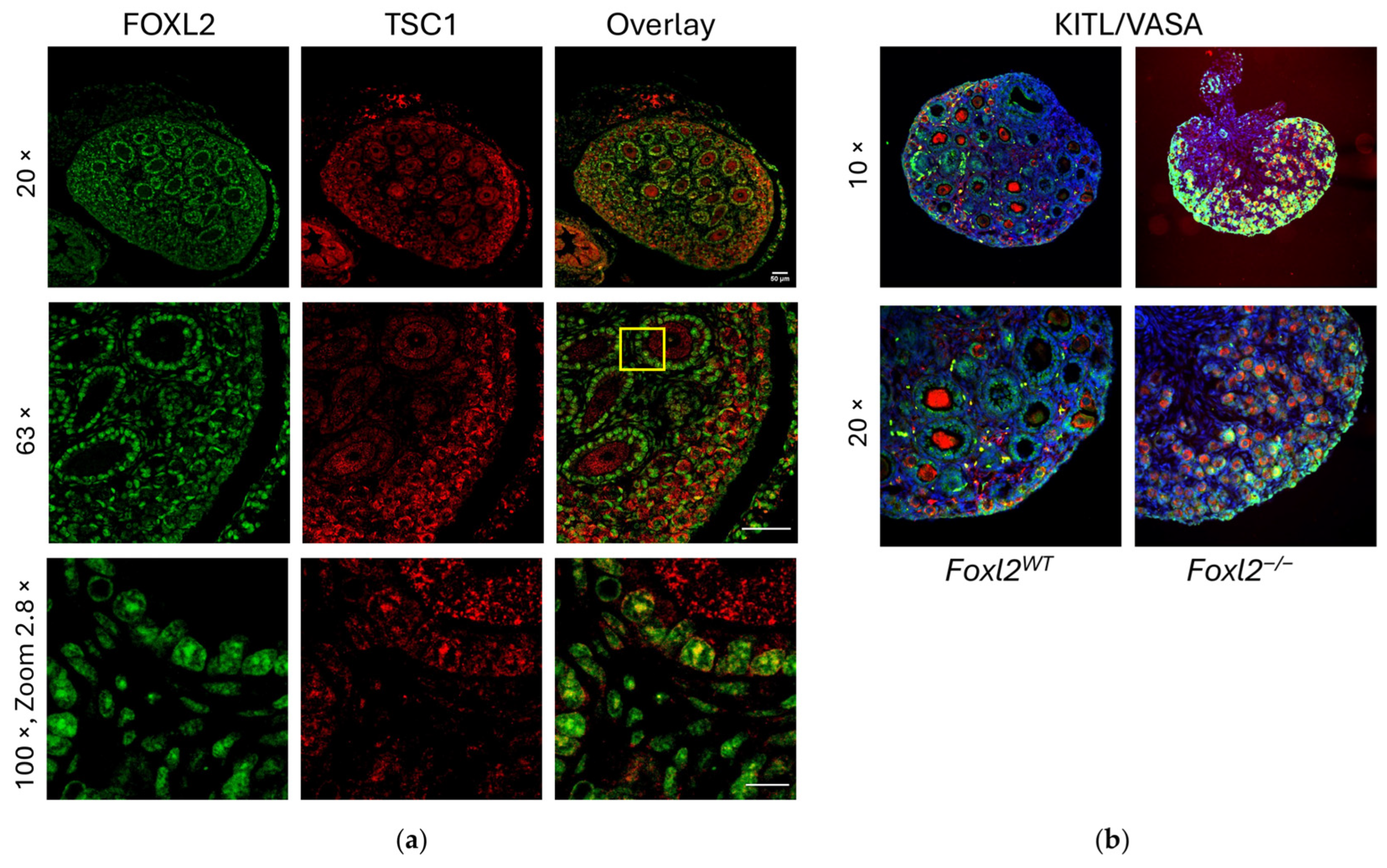Biomolecules 16 00510 g003 Biomolecules 16 00510 g003