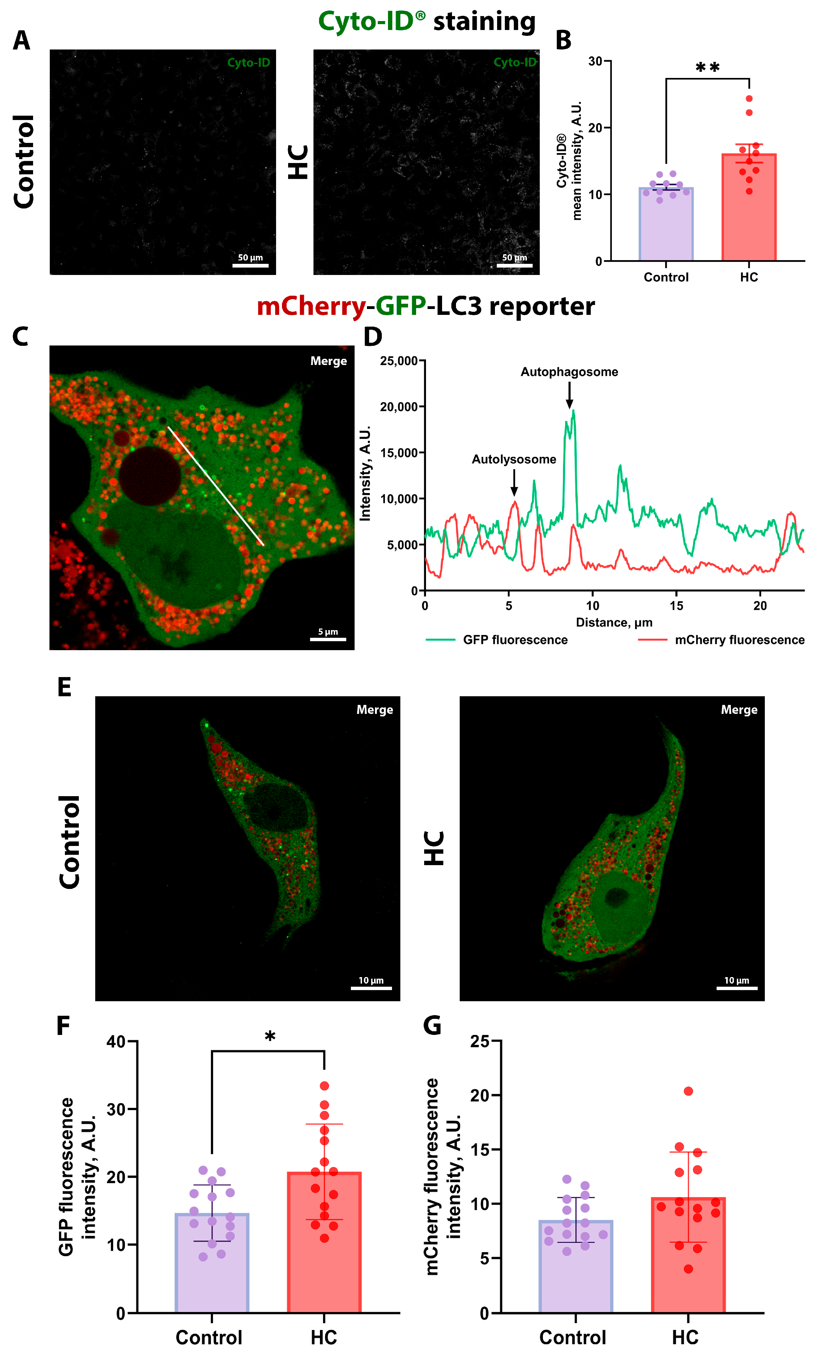Biomolecules 16 00538 g003 Biomolecules 16 00538 g003